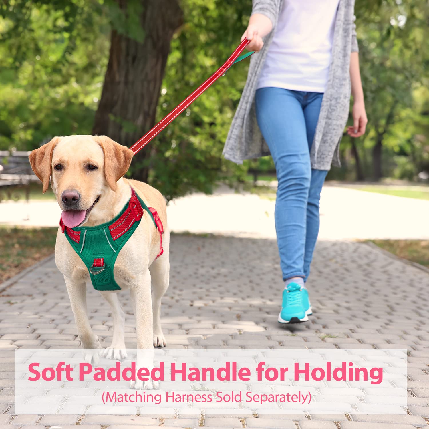 Phoepet 5 Feet Dog Leash - Dual-Side Reflective - Soft Padded Handle - Fit For Walking, Training Or Exploring Hiking, Camping(Re