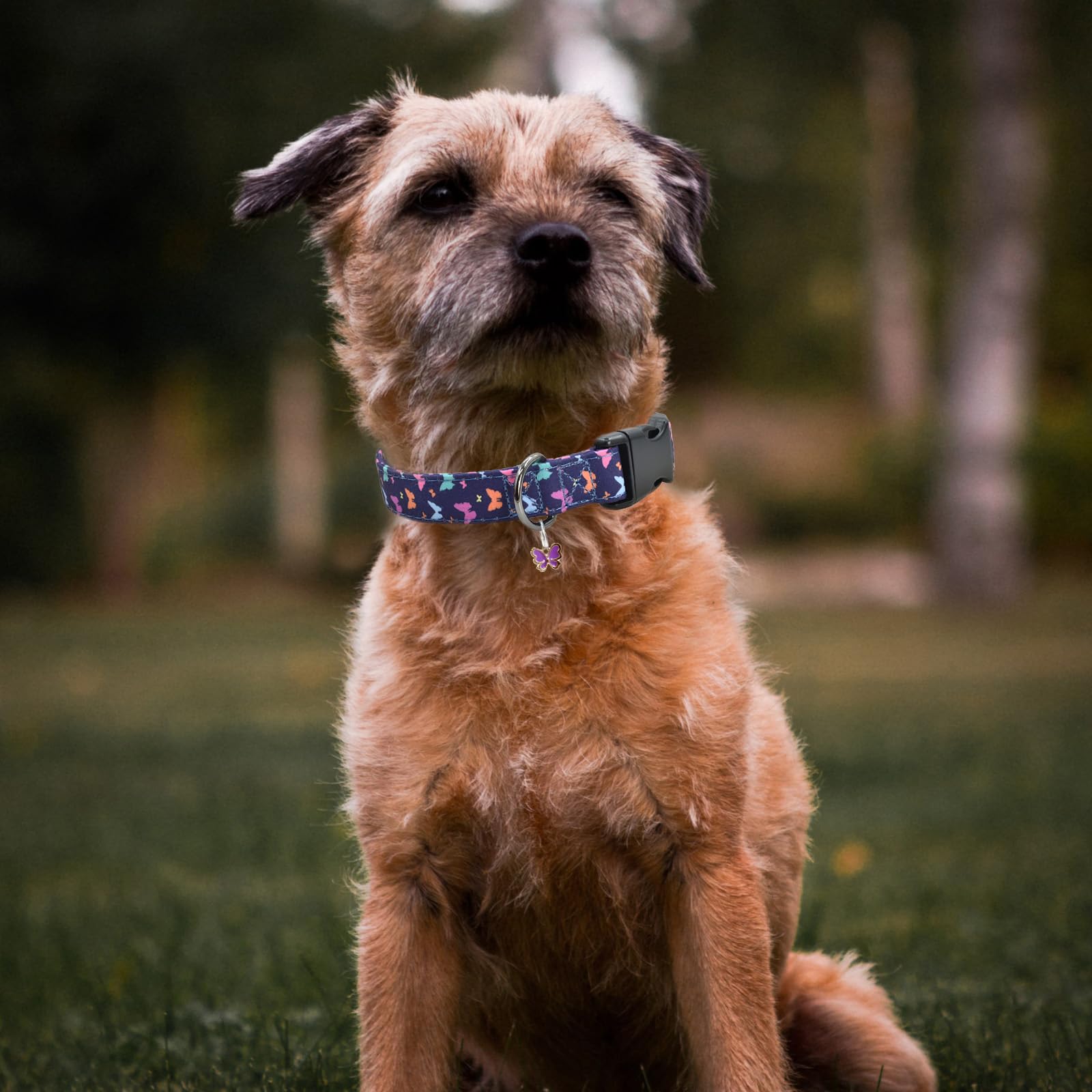 Flower Patterns Dog Collar With Accessories, Soft Cotton Dog Collars For Small Medium Large Female And Male Dogs(Butterfly2 M)