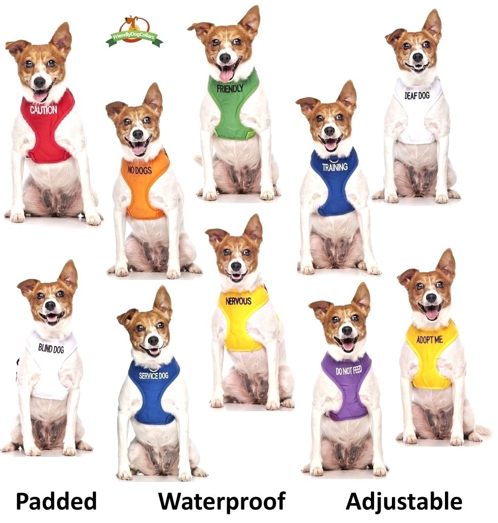 Service Dog Dexil Friendly Dog Collars Color Coded Dog Accident Prevention Leash 6Ft/1.8M Prevents Dog Accidents By Letting Othe