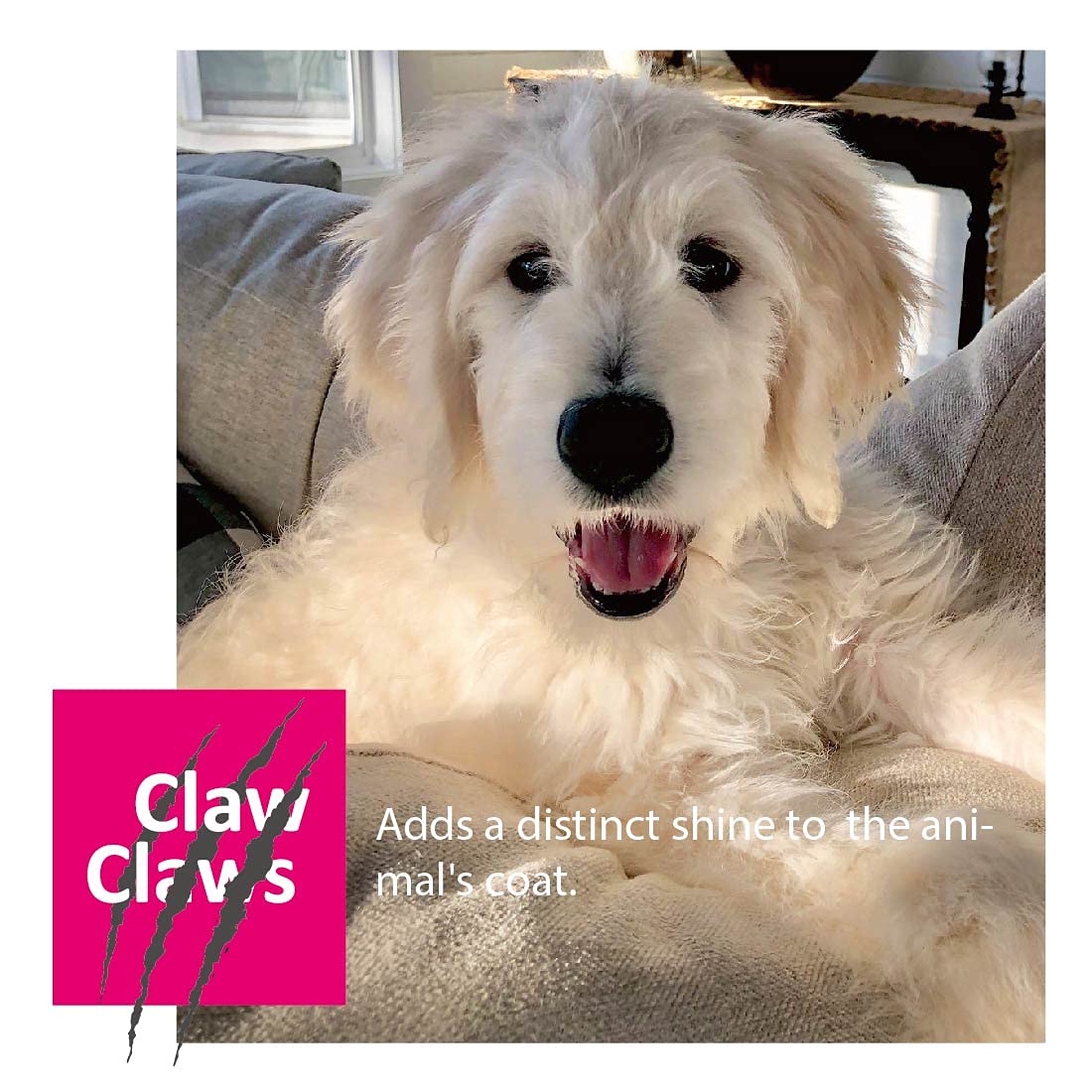 Claw Claws Pet Slicker Brush For Large Dogs, Wooden Handle With Stainless Steel Soft Pins, Gently Remove Tangled, Loose Undercoat And Mats Hair, Pet Grooming Brush Tool (8'), Wool Needle Felting Brush