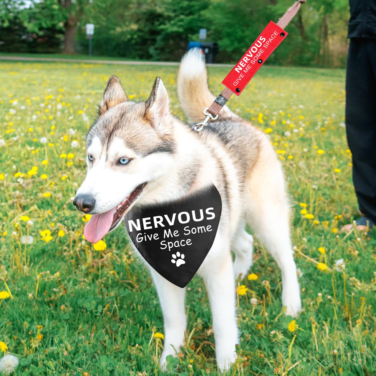 Advivio 2 Pieces Nervous Give Me Some Space Black Dog Scarf Bandana with Red Dog Leash Wrap, Pet Birthday Gift and Dog Lovers Ow