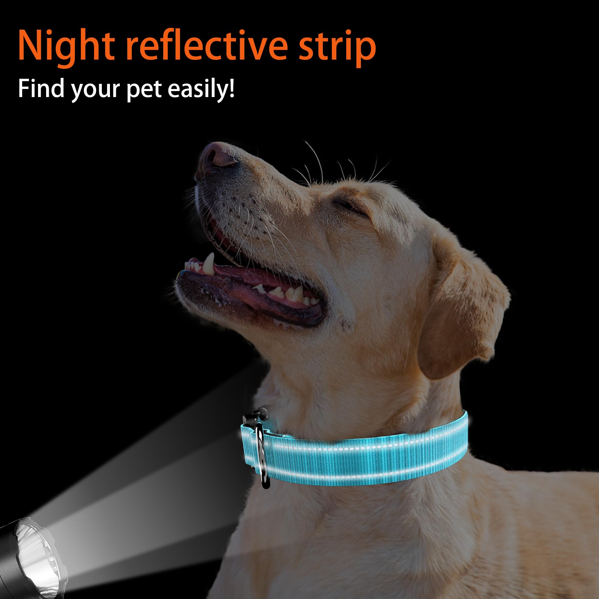 Airtag Dog Collar With Qr Code, Soft Padded, Reflective, Adjustable With Safety Lock Buckle - Small (Blue, With Airtag Holder)