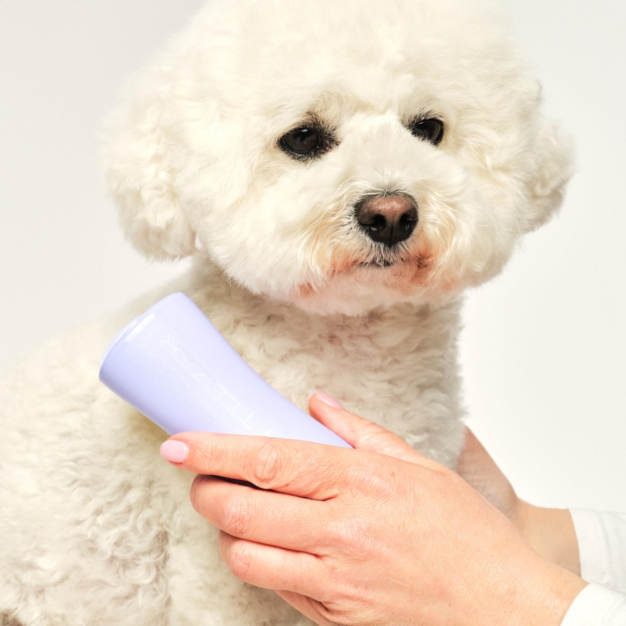 Pet Teezer By Tangle Teezer Detangling Dog Grooming Brush, Dry Brush & Dog Bath Brush For Wet Or Dry Fur & Light Shedding Breeds, Small, Lilac/Yellow