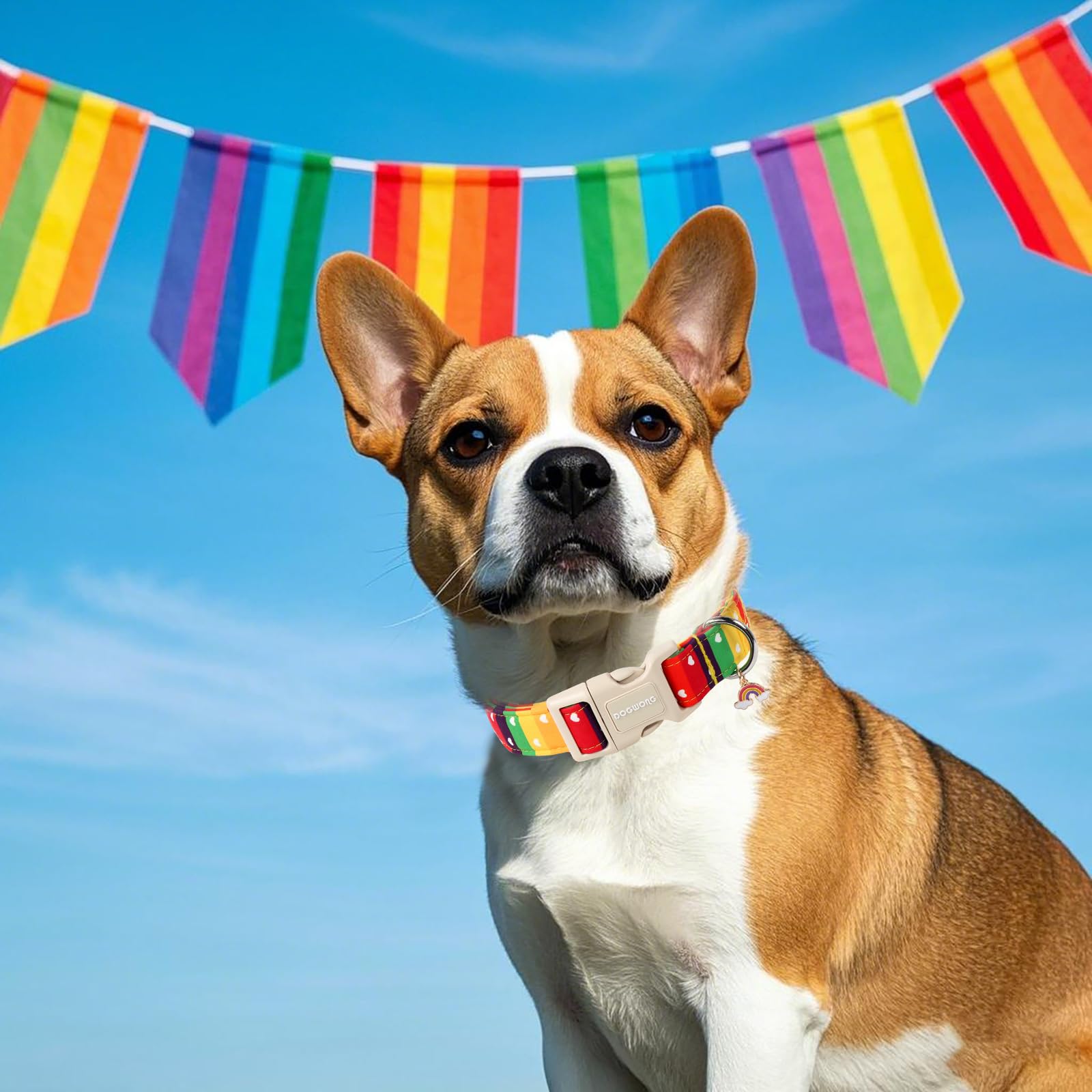 Dogwong Lgbt Dog Collar, Rainbow Lgbtq Dog Collars, Adjustable Cute Pride Lgbt Pet Collars Design Quick Release Buckle Dogs Neck