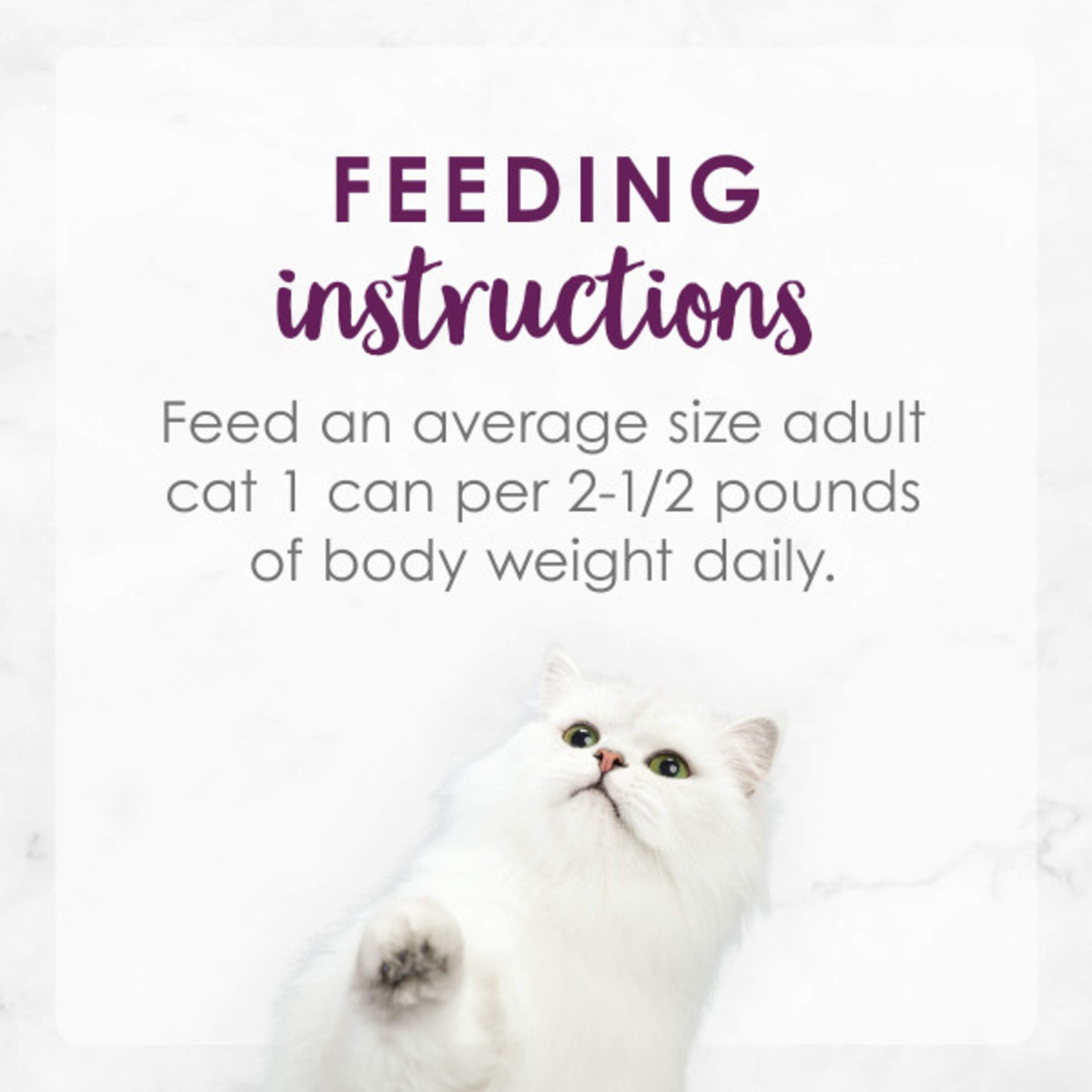 Purina Fancy Feast Wet Cat Food, Medleys White Meat Chicken Tuscany With Long Grain Rice & Greens - (Pack of 24) 3 oz. Cans