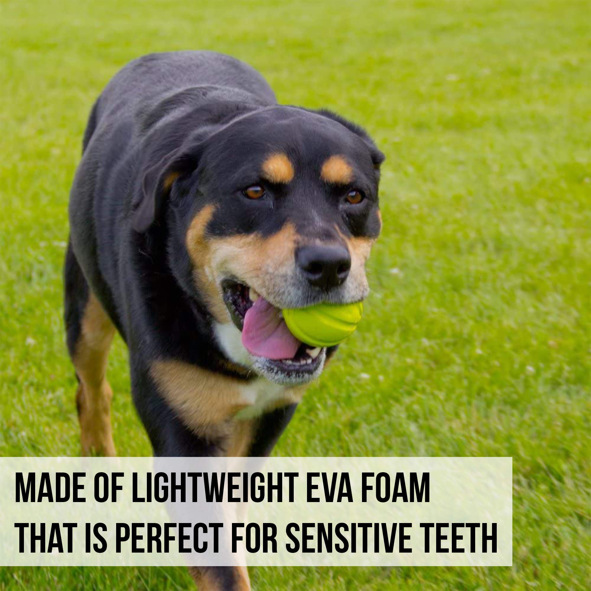 Hyper Pet Fetching Dog Toys - Throwing Ball Dog Toy Made With Eva Foam - Lightweight & Floats On Water,Green