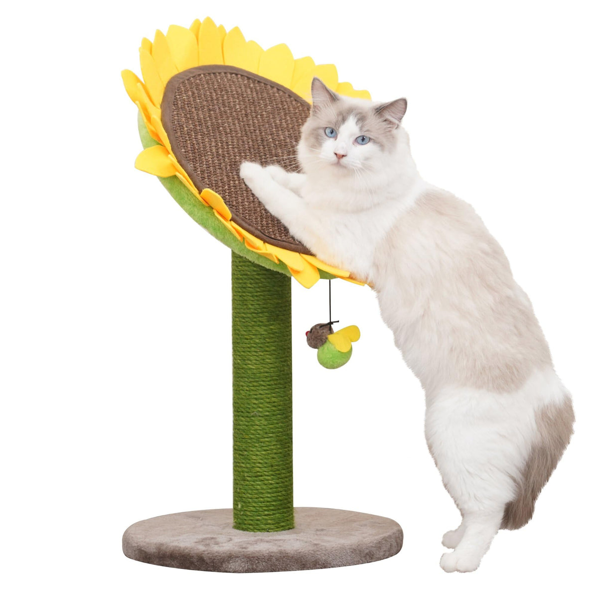 Catry 24' Sunflower Cat Scratching Post, Sunflower Small Cat Bed, 2 In 1 Natural Jute Scratching Pad And Bed With Cat Teaser Bee Toy