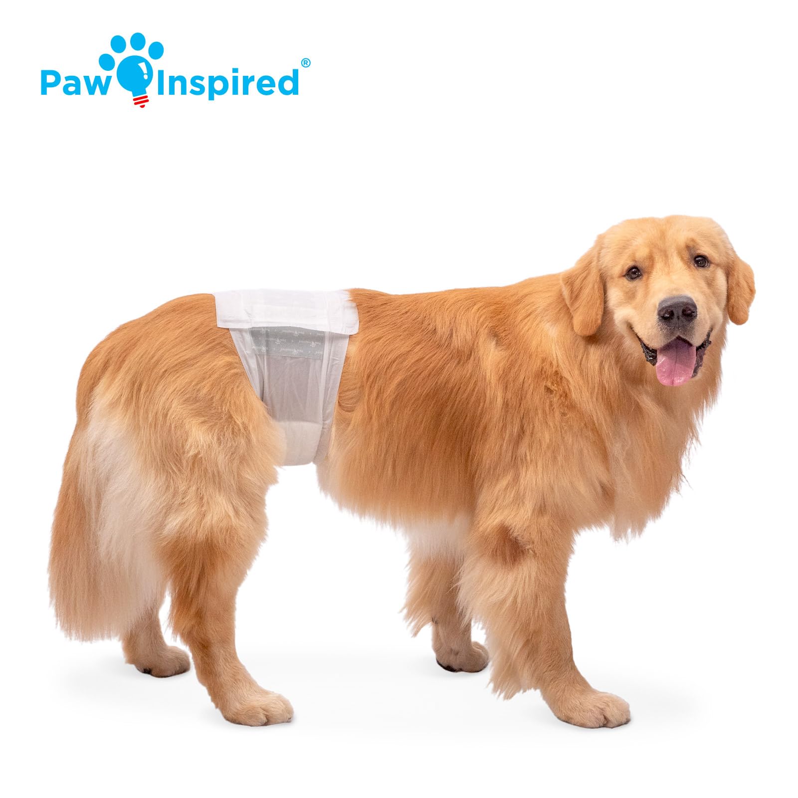Paw Inspired Disposable Male Dog Wraps, Belly Band for Dogs | Disposable Dog Diapers | Belly Bands for Male Dogs (144 Count, Lar