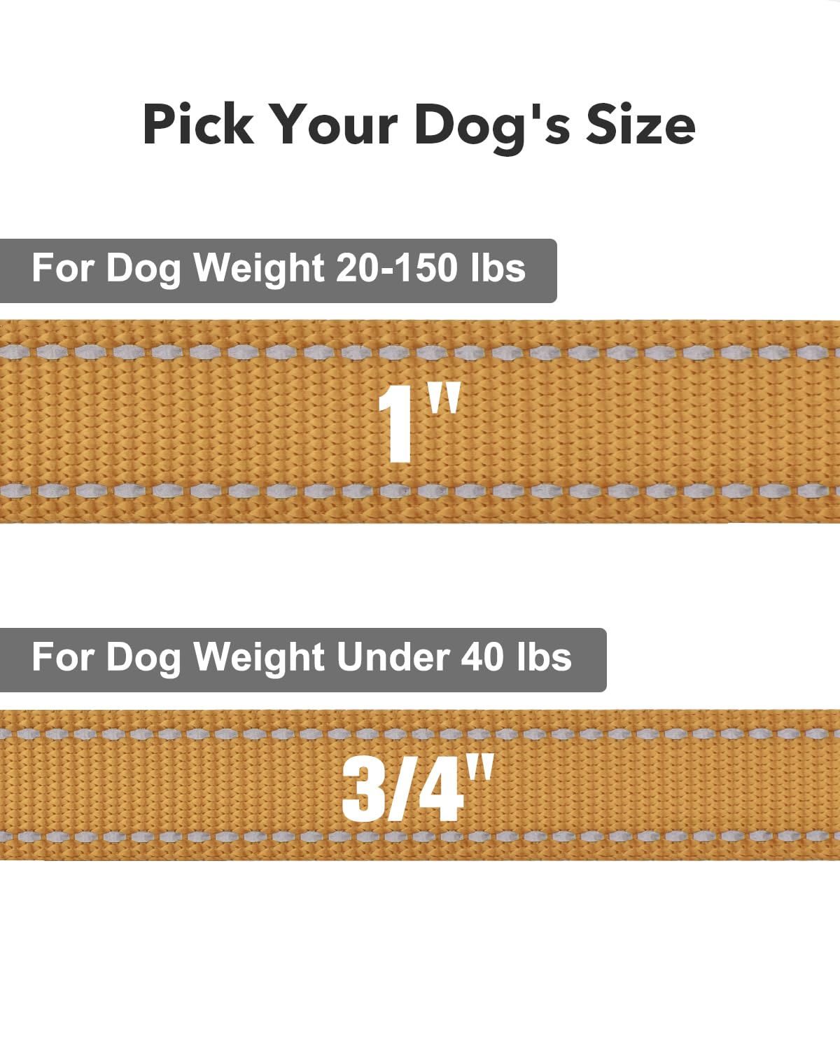 Taglory Nylon Dog Leash 6Ft, Soft Padded Handle Pet Reflective Leashes For Puppy Small Medium Dogs Walking & Training,Tan