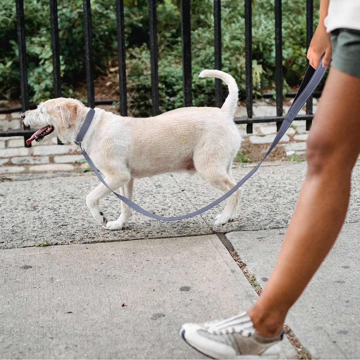 Tagme Reflective Nylon Dog Collars, Adjustable Classic Dog Collar With Quick Release Buckle For Large Dogs, Grey, 1.0' Width
