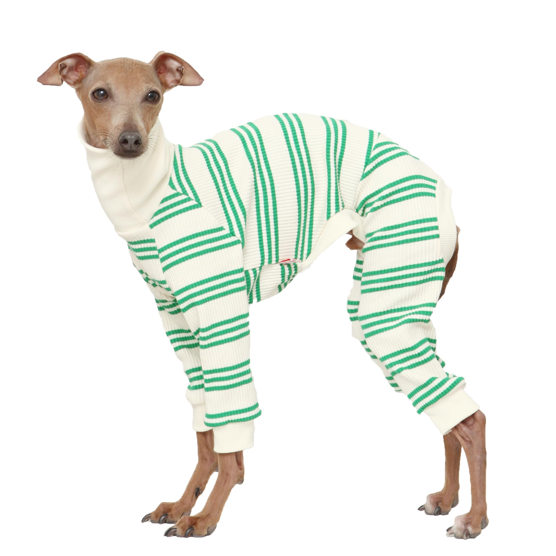 D Doggy Star Italian Greyhound Clothes Soft Stretchy Onesie Refined Stripe Outfit Whippet For Dog Coat (M,Onsi Green Str)