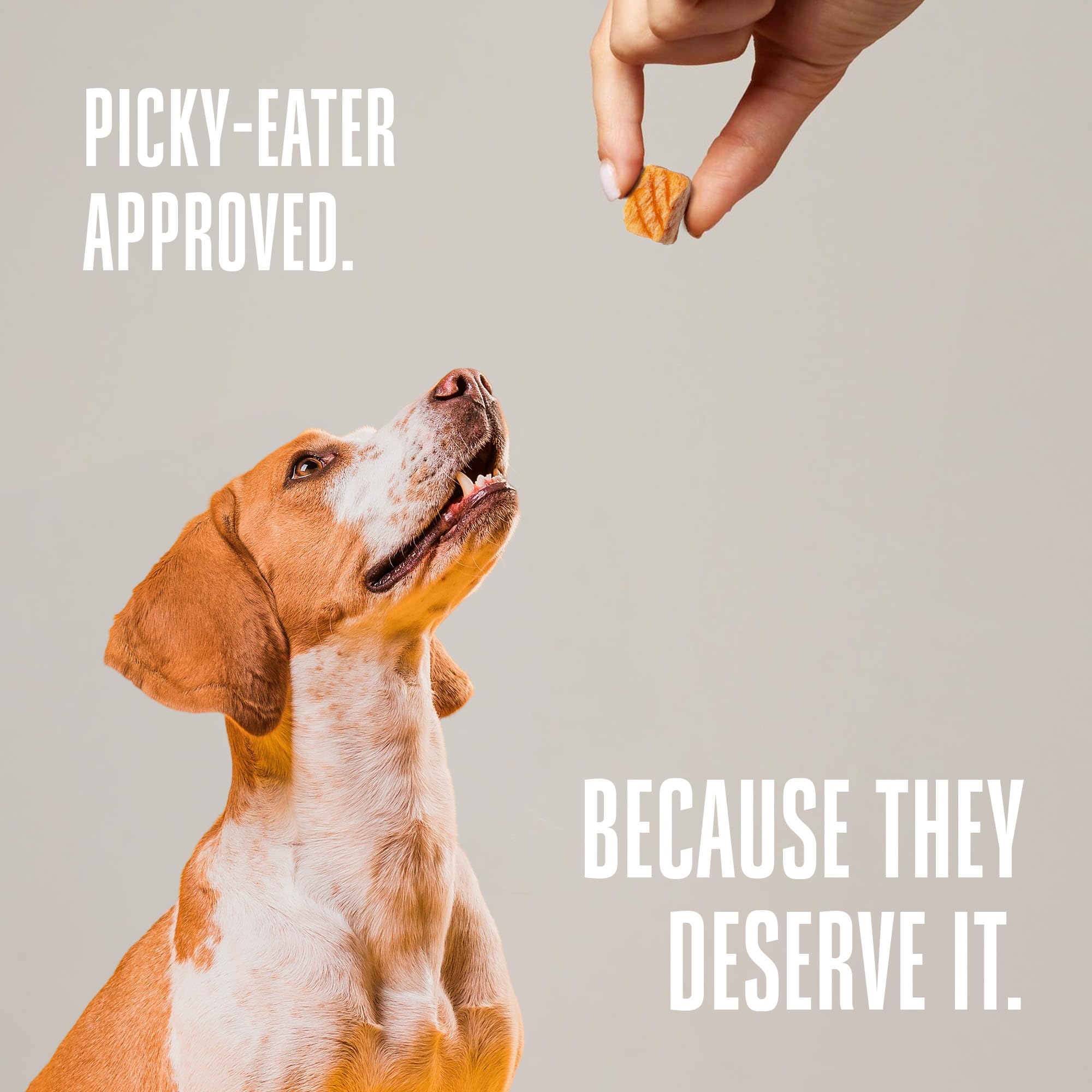 Whole Life Dog Just One Salmon Freeze Dried Dog Treats - Human Grade High Protein Food, Healthy Training Snacks, Freeze Dried Sa