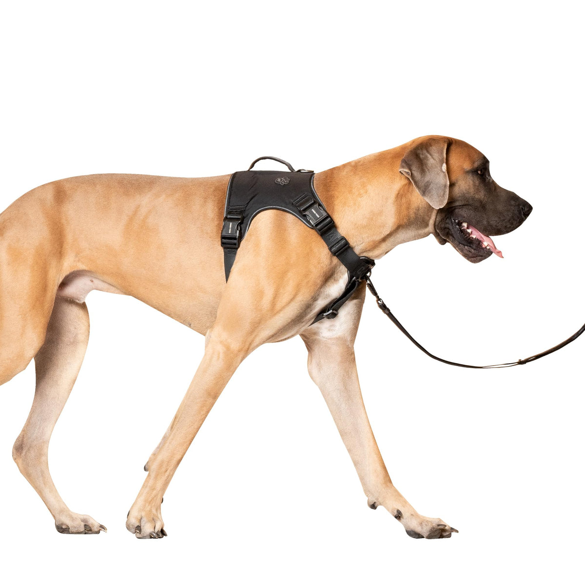 Canada Pooch Complete Control Dog Harness Black, Large Dubbulon Portatovaglioli In Metallo