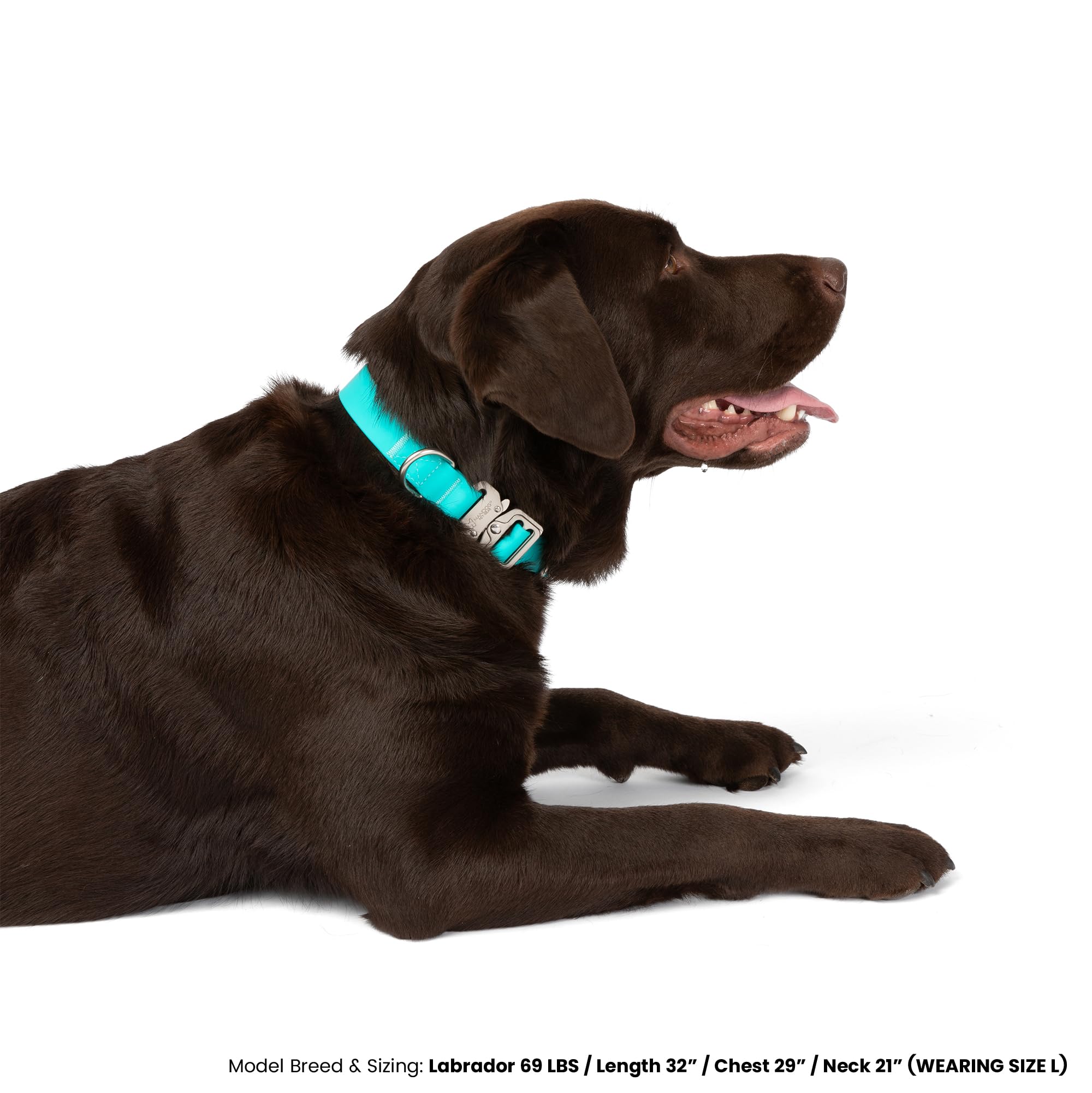 Nandog The Signature Collection Waterproof Poly-Flex Sport Dog Collar In Small, Aqua Blue - Durable & Adjustable - Secure Double