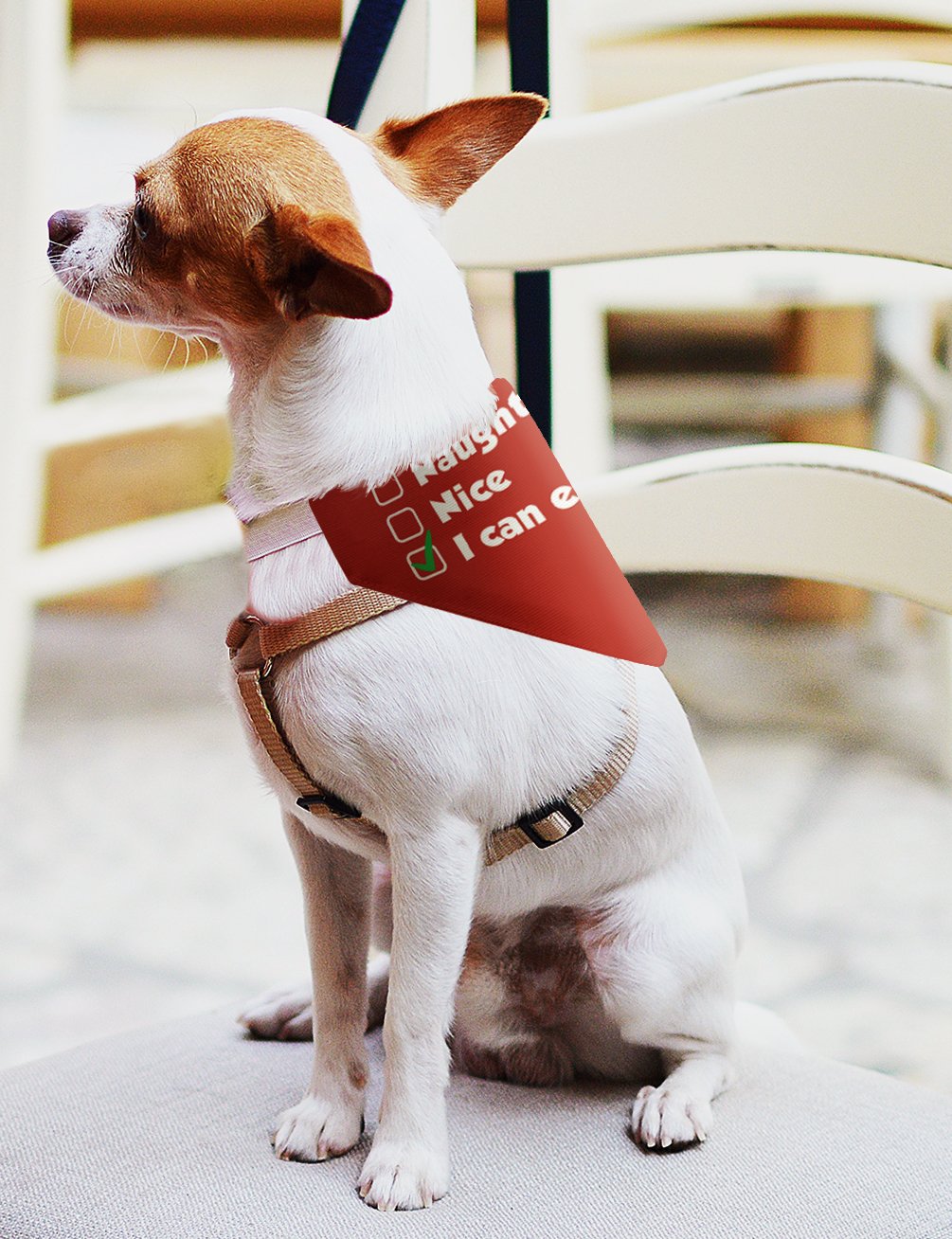 Funny Dog Christmas Clothing Naughty Nice I Can Explain Pet Collar Scarf for Smaller Dogs