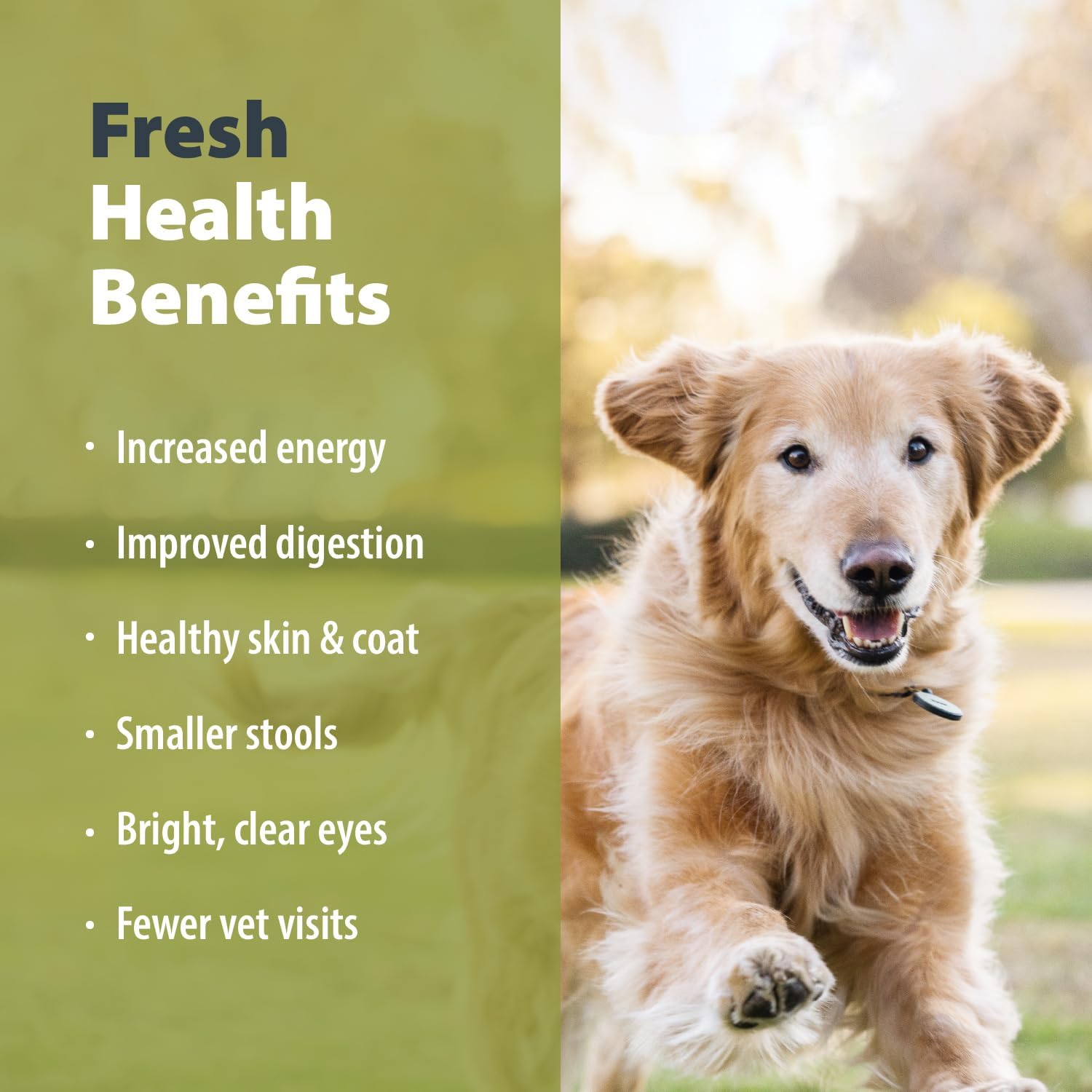 JustFoodForDogs Pantry Fresh Wet Dog Food, Complete Meal or Dog Food Topper, Turkey & Whole Wheat Macaroni Human Grade Dog Food