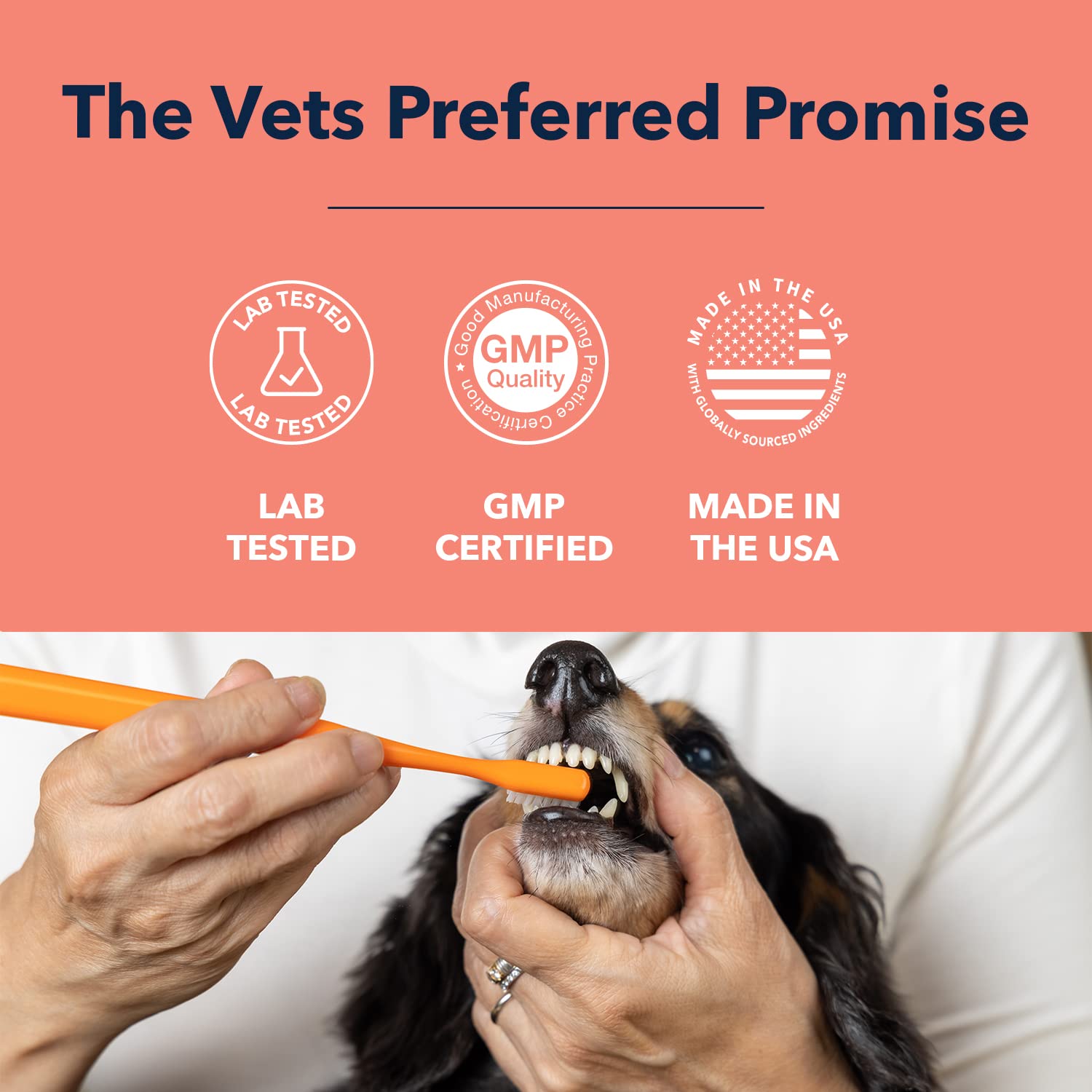 Vets Preferred Dog Enzymatic Toothpaste - Safe and Natural Dog Oral Care Toothpaste - Freshens Breath, Fights Plaque and Reduces