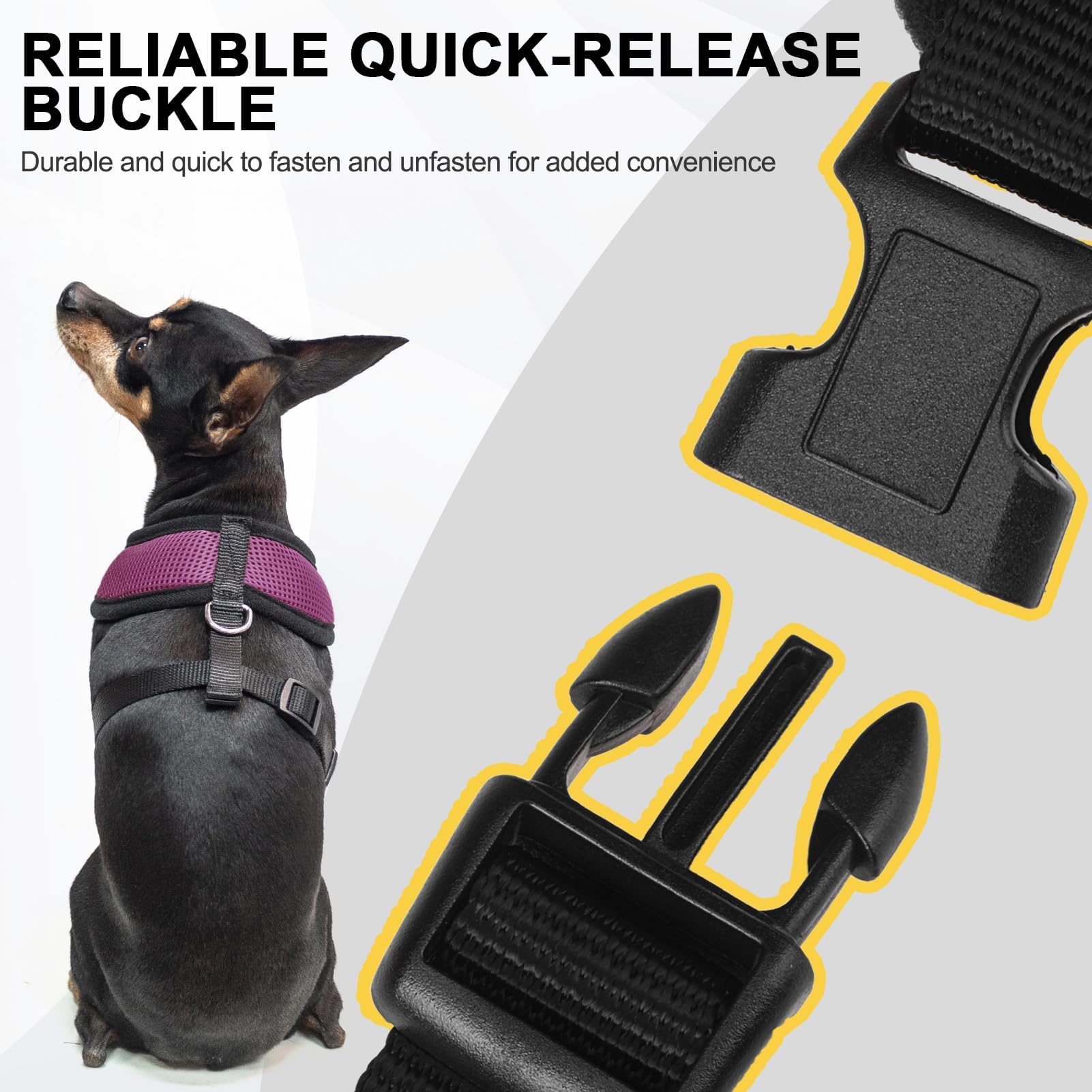 Bingpet Small Dog Harness - Breathable Mesh Puppy Cat Harnesses - No Pull Adjustable Dog Harness Dog Vest Harness For Small And Medium Dogs