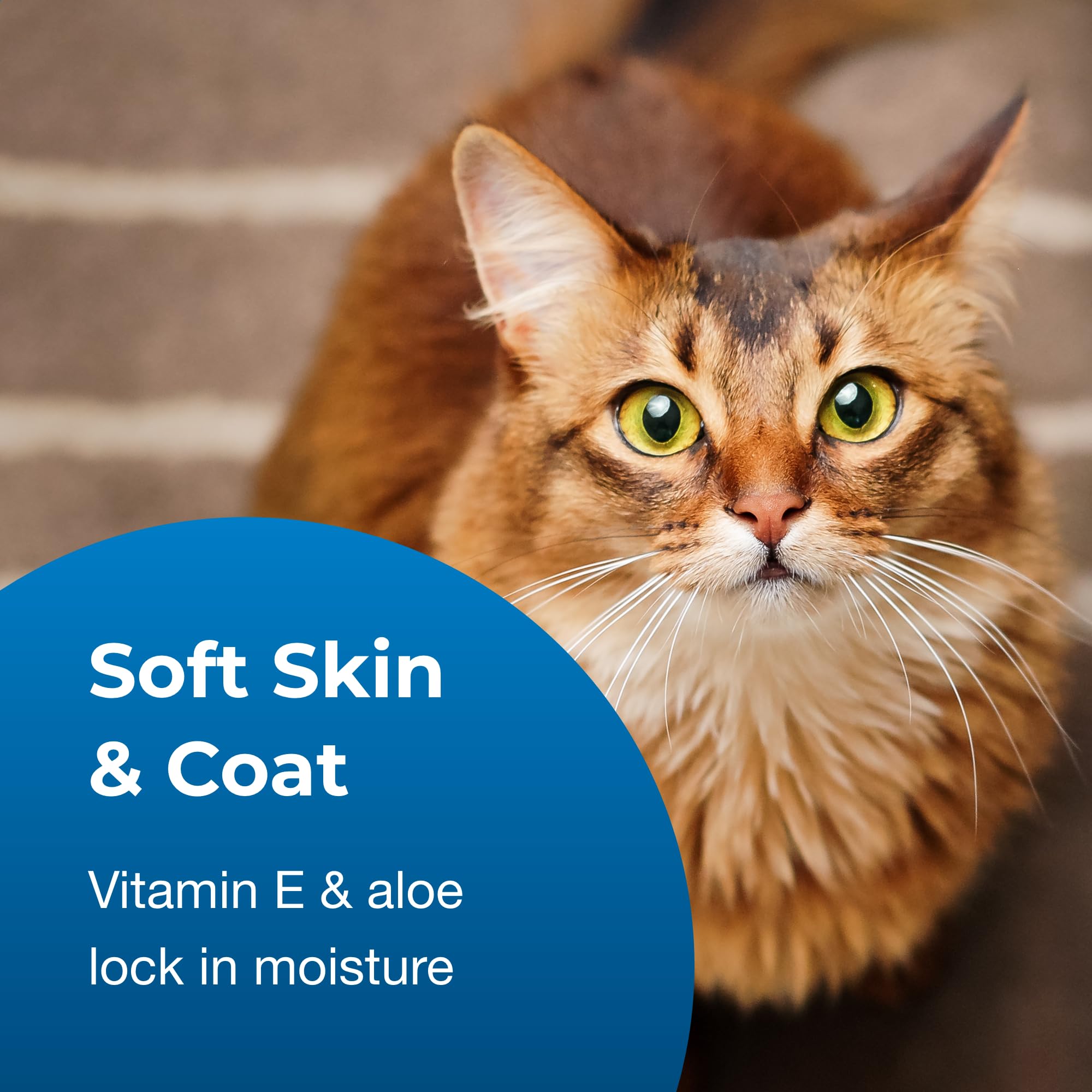 Petag Fresh ’N Clean Soothing & Sensitive Pet Shampoo - 18 Oz - Hypoallergenic & Tearless Pet Shampoo For Dogs, Cats & Small Animals With Aloe & Vitamin E - Fragrance Free