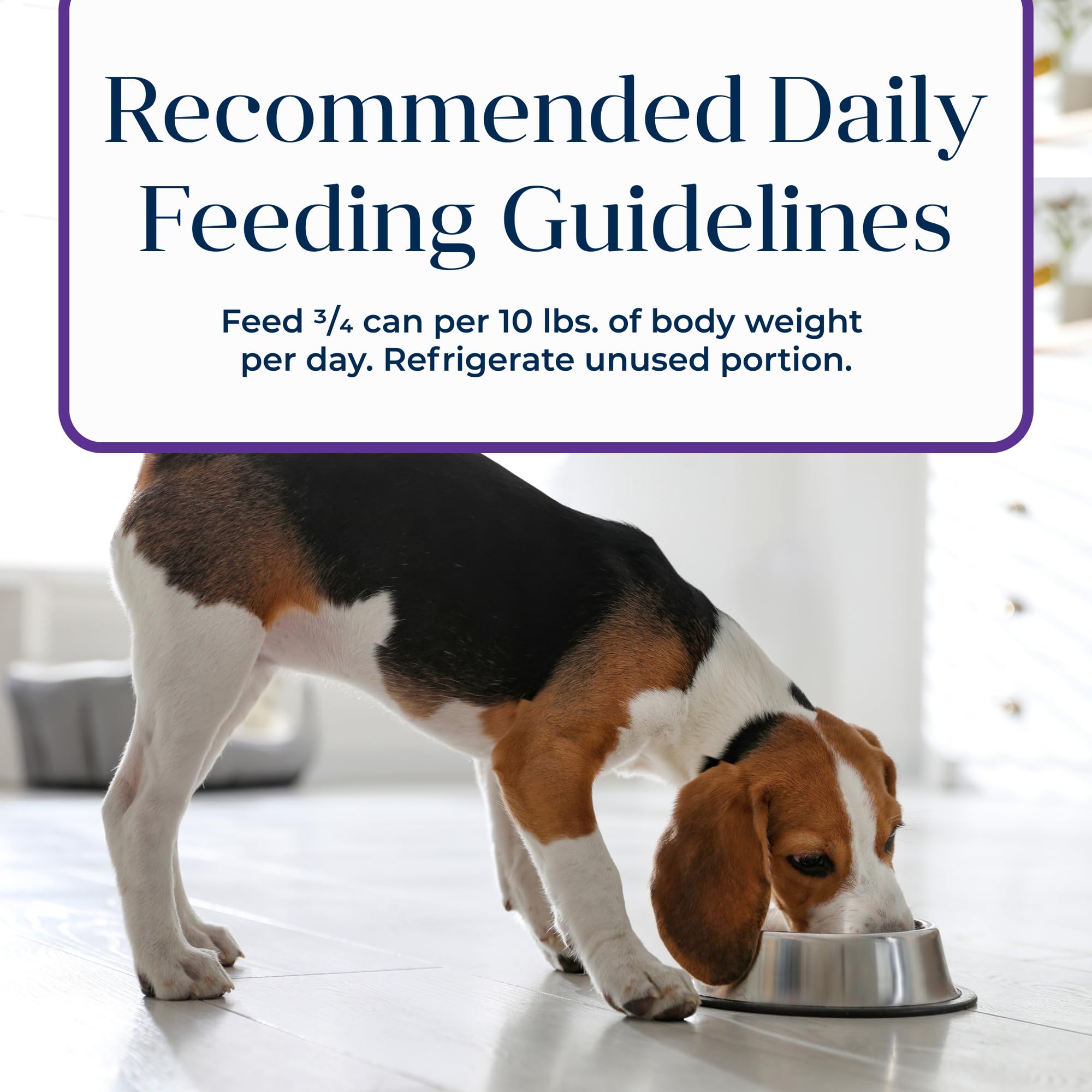 Blue Buffalo Basics Grain-Free Adult Wet Dog Food, Skin & Stomach Care, Limited Ingredient Diet, Turkey Recipe, 12.5-oz Can, 12
