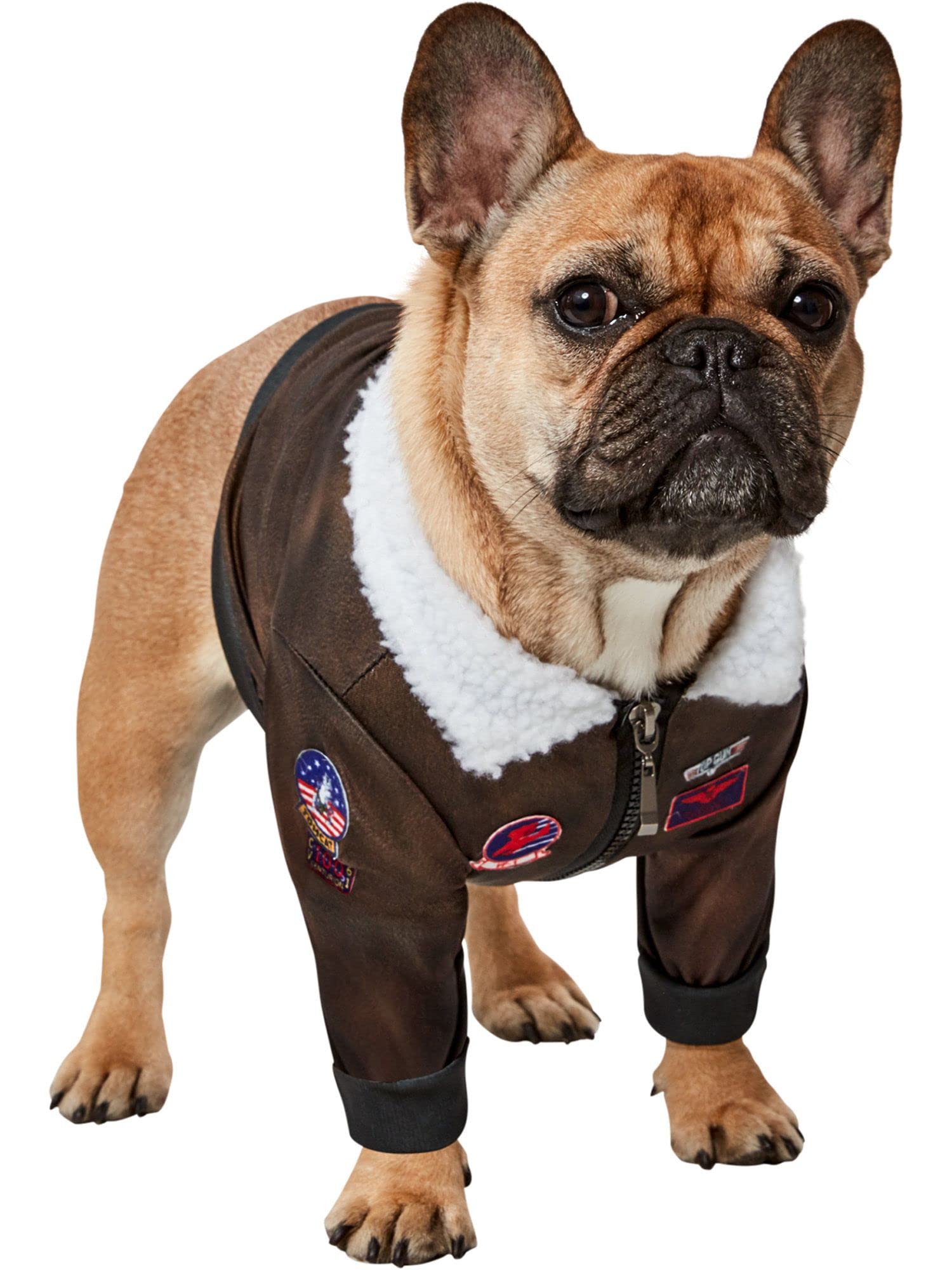 Rubies Top Gun Classic Movie Pet Costume, X-Small For Themed Parties And Halloween