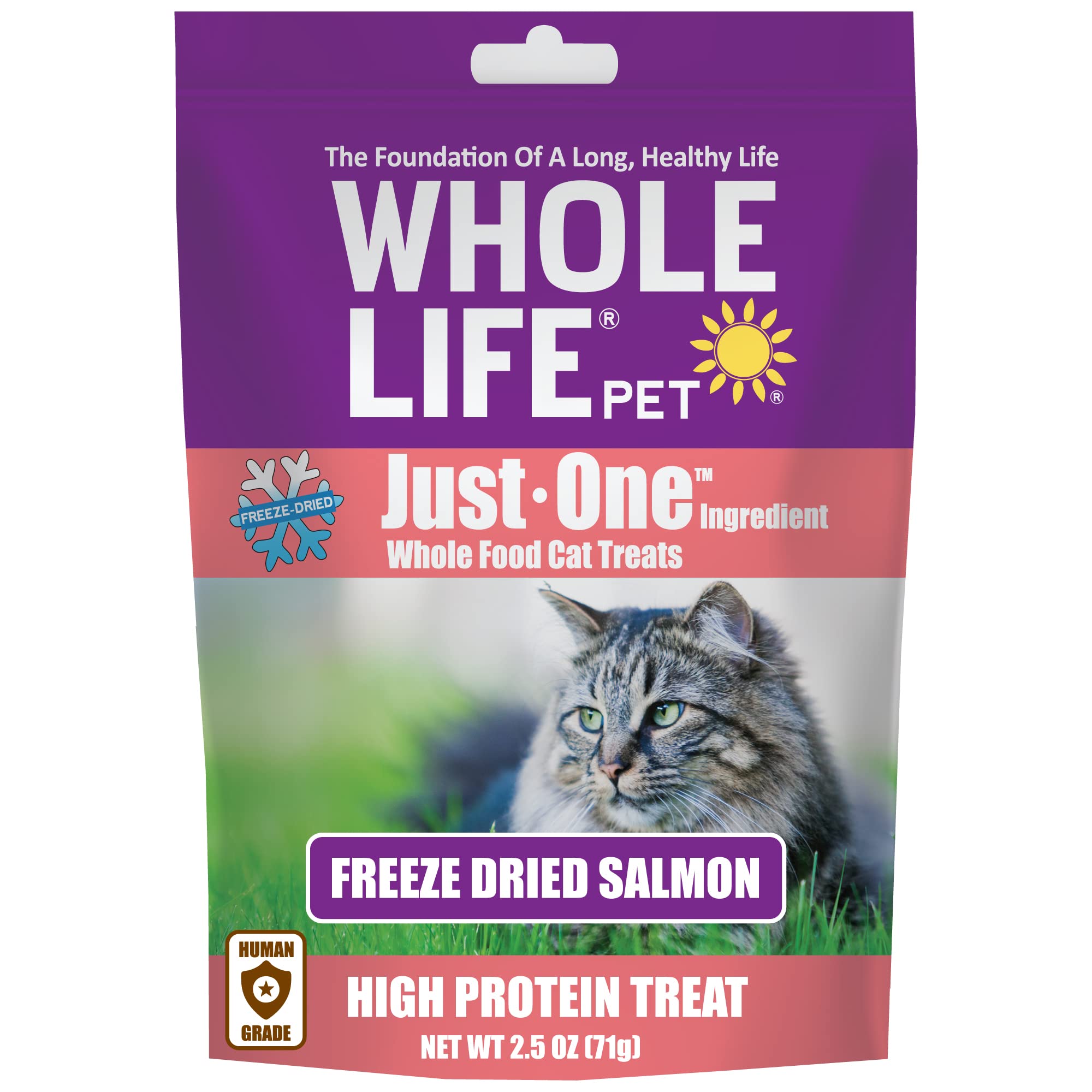 Whole Life Cat Just One Salmon Freeze Dried Cat Treats - Human Grade High Protein Food, Healthy Training Snacks, Freeze Dried Sa