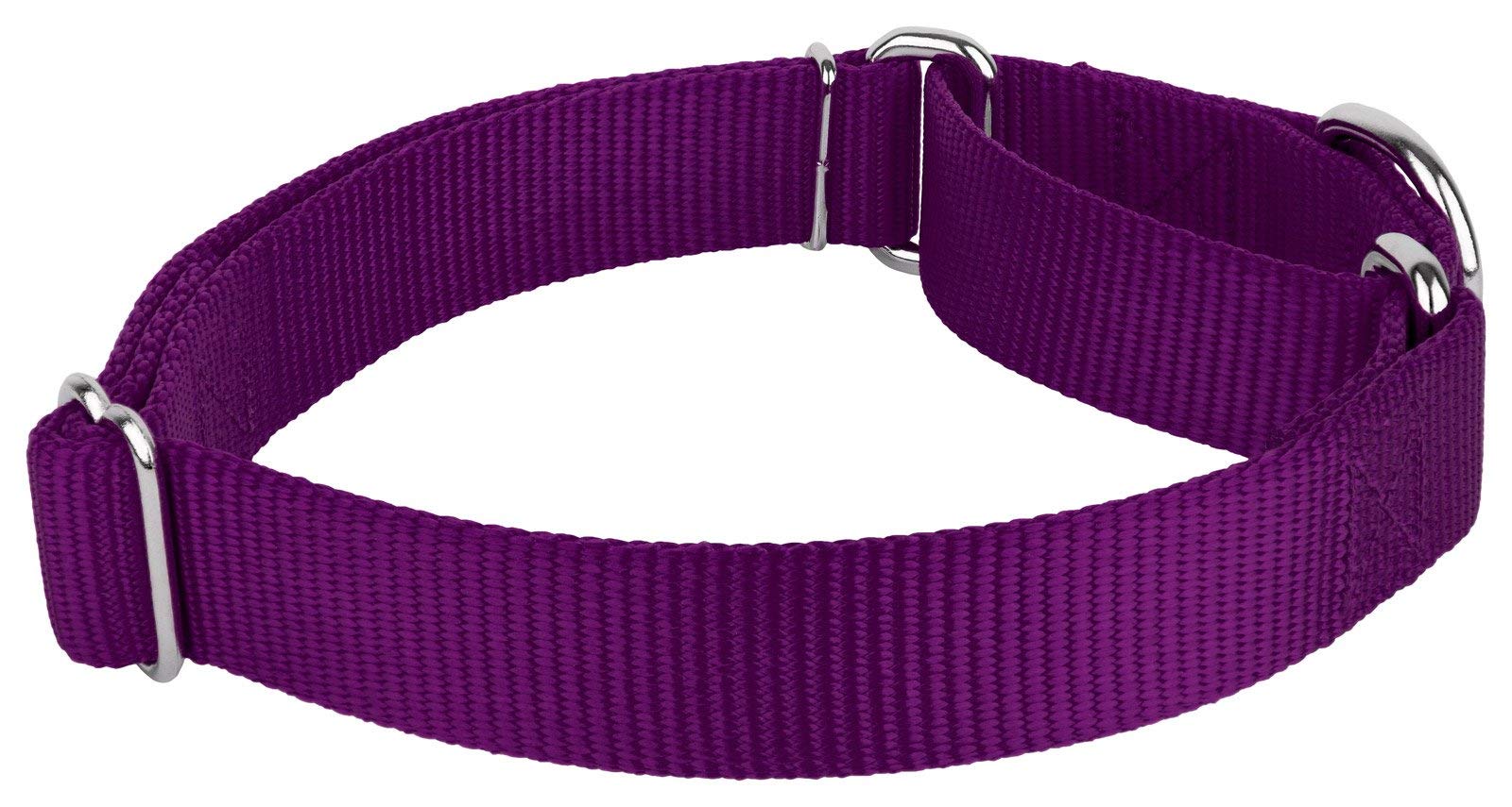 Country Brook Petz - Purple Martingale Heavy Duty Nylon Dog Collar - 21 Vibrant Color Options (1 Inch Width, Extra Large)