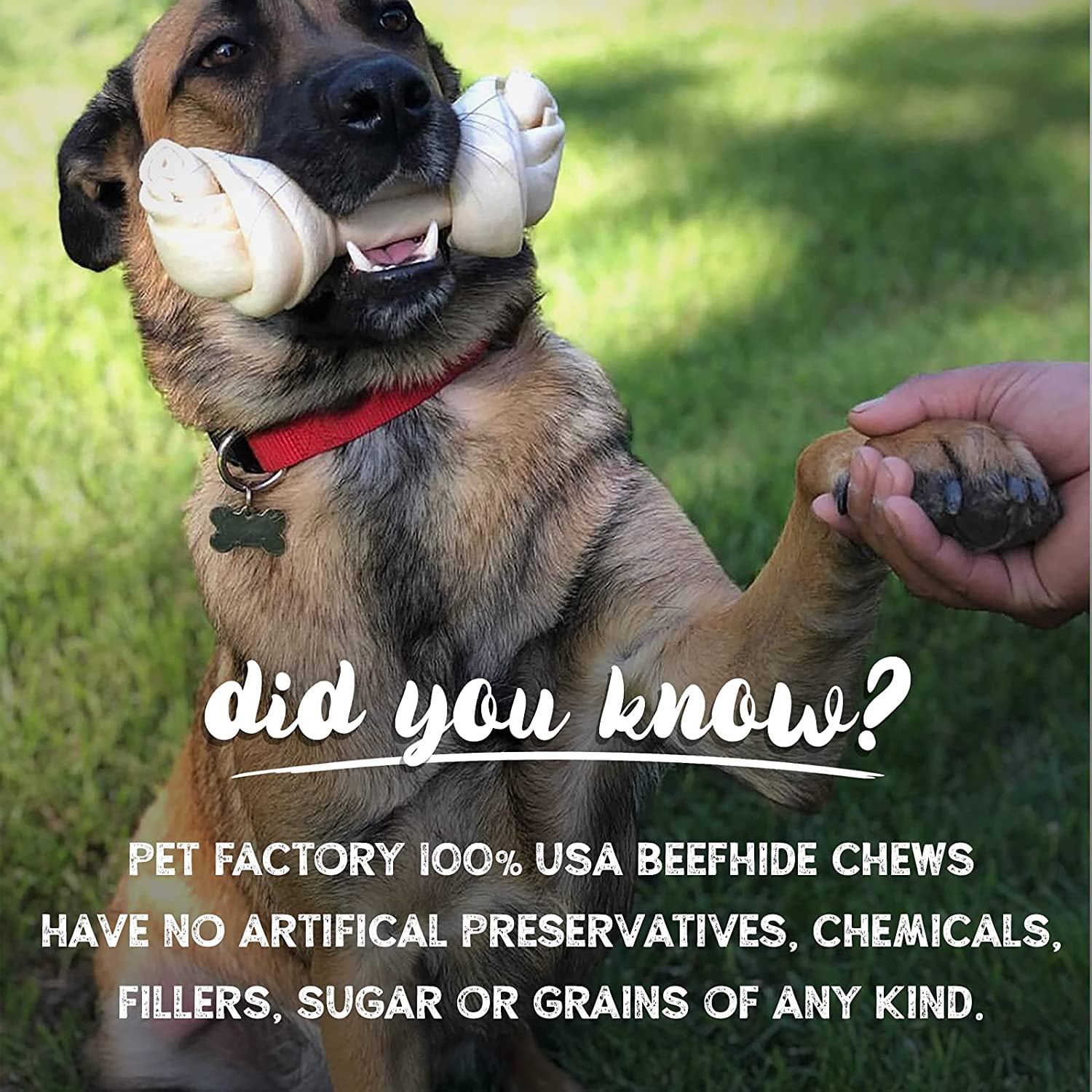 Pet Factory 100% Made in USA Beefhide 5  Chip Rolls Dog Chew Treats - Peanut Butter Flavor, 20 Count/1 Pack