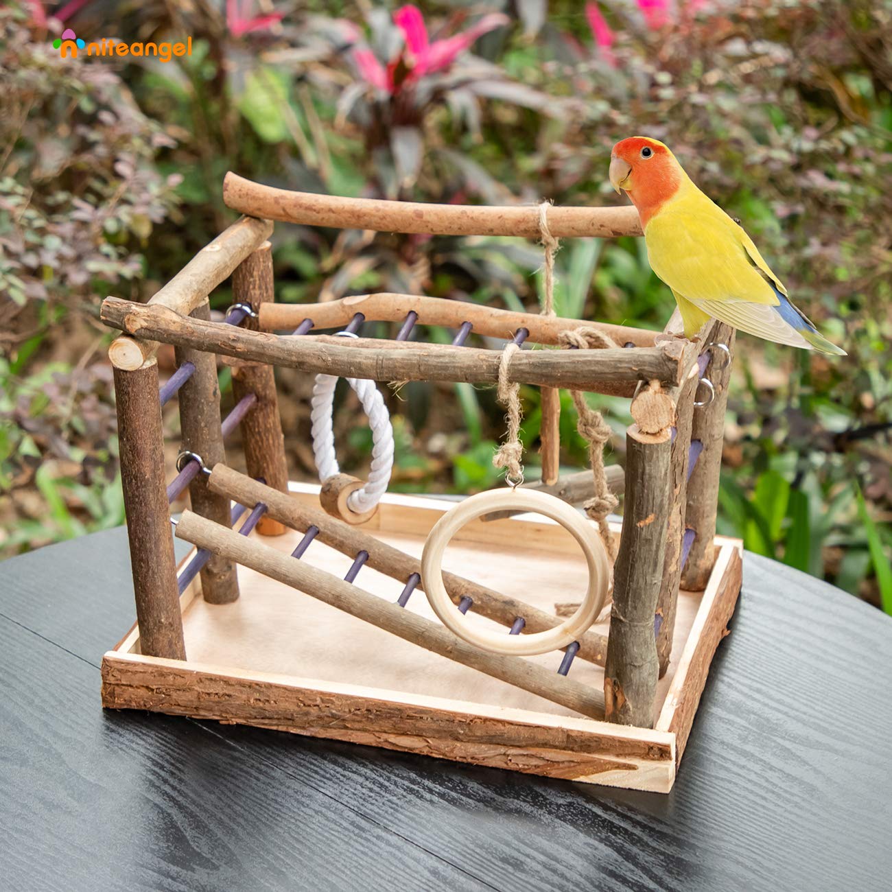 Niteangel Bird Activity Center - Natural Living Playground for Birds, Engaging & Fun Bird Toy, Perfect for Cage or Aviary