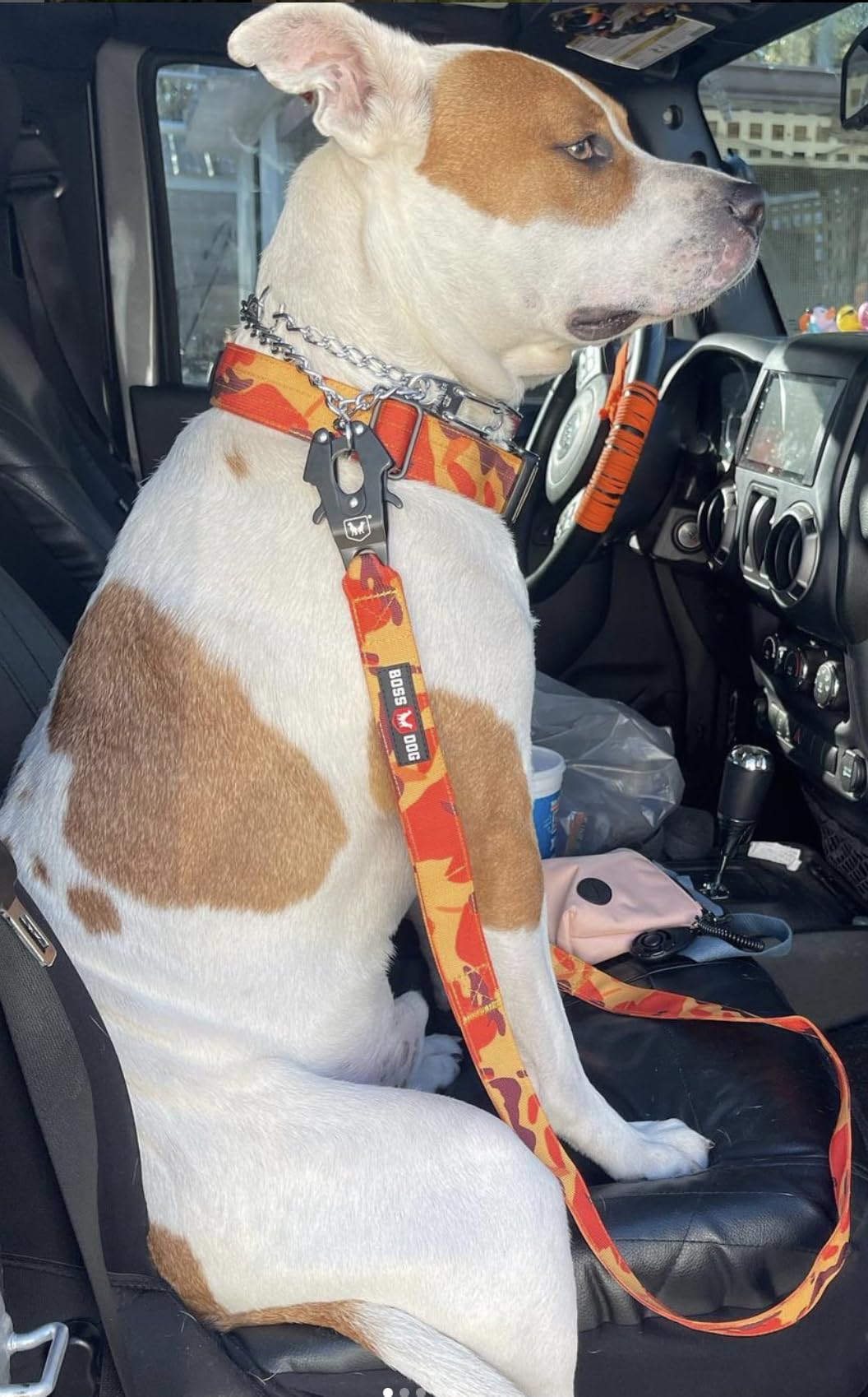 Boss Dog Tactical Leash, Orange Camo, 4 Ft