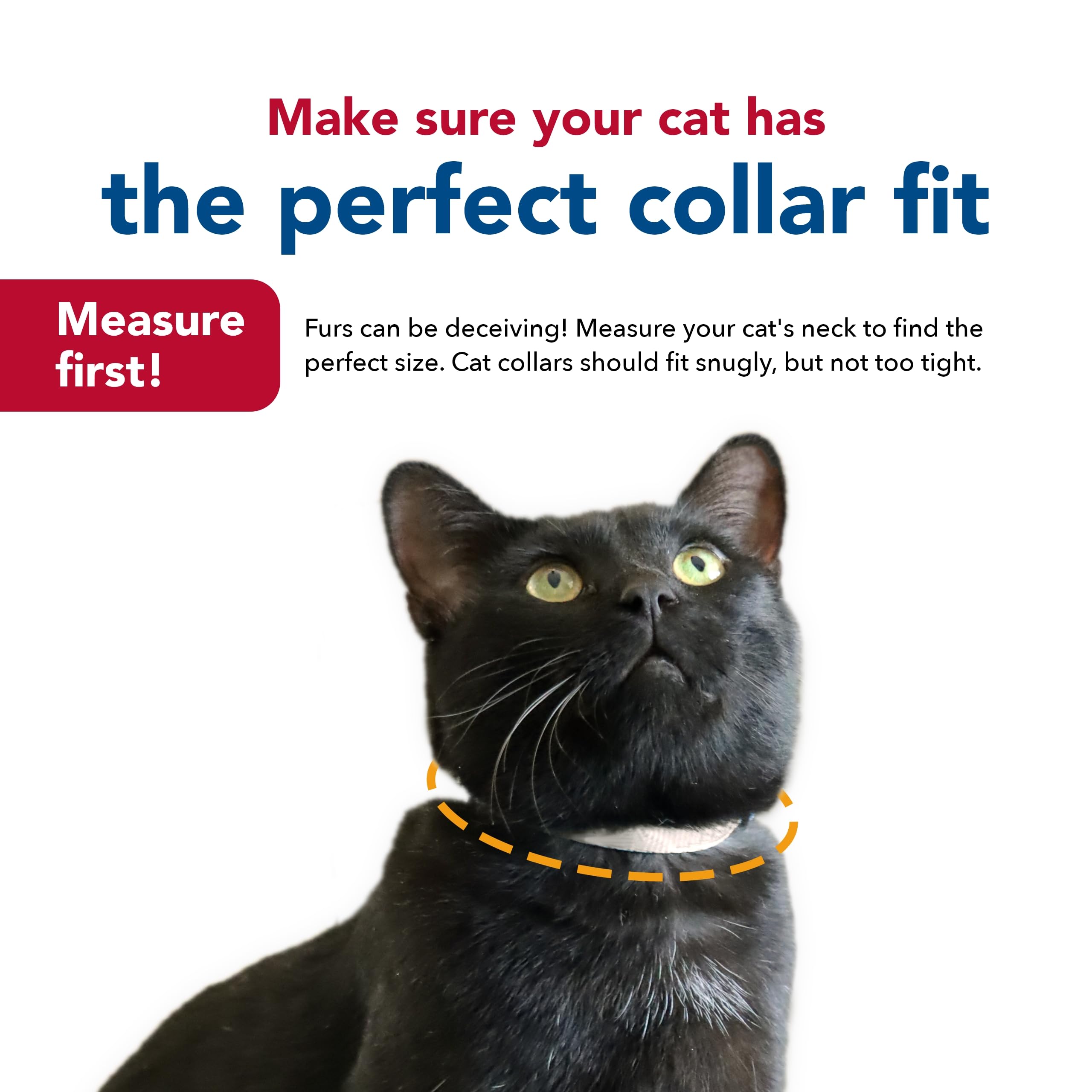 Coastal Pet New Earth Soy Adjustable Breakaway Cat Collar - Eco-Friendly, Odor-Resistant And Adjustable Cat Collar, Cranberry, 3/8' X 08'-12'