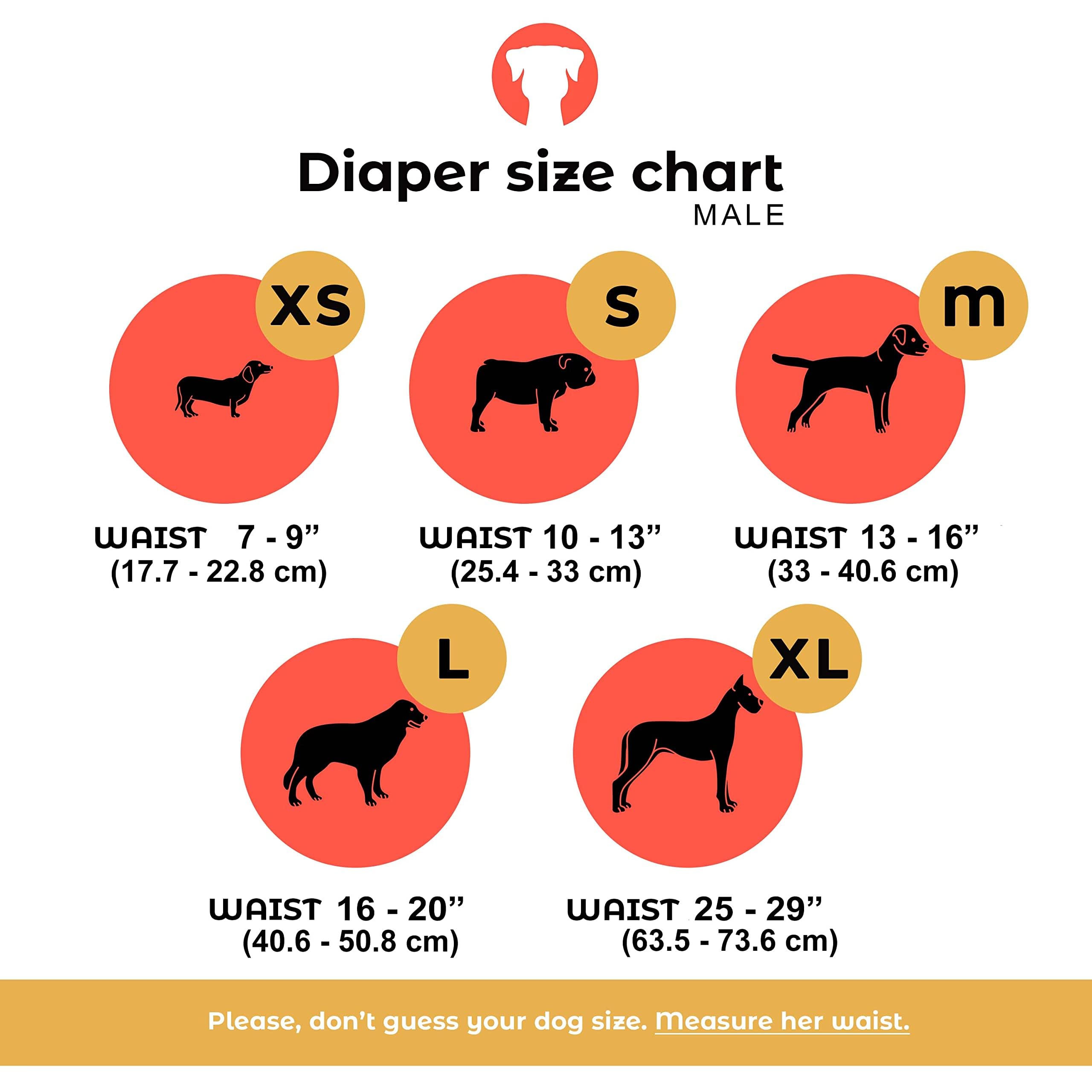 PETTING IS CARING Dog Diapers Male - Reusable Dog Belly Bands for Male Dogs, Pack of 3 - Males Dog Diapers, Puppy Diapers Male,