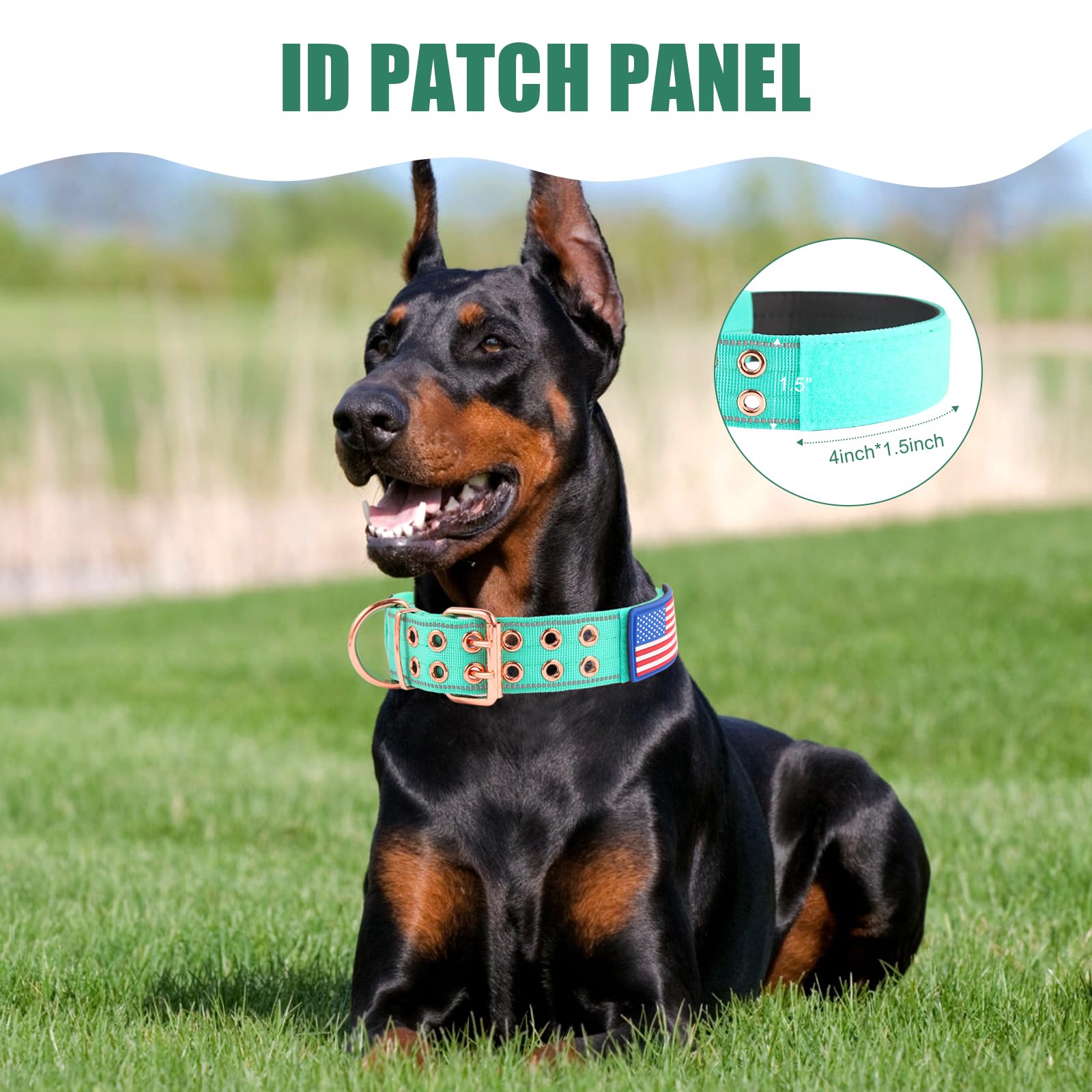 Yunleparks Heavy Duty Tactical Dog Collar With Neoprene Padded And Metal Buckle, Reflective Nylon For Medium To Large Dogs(Teal,