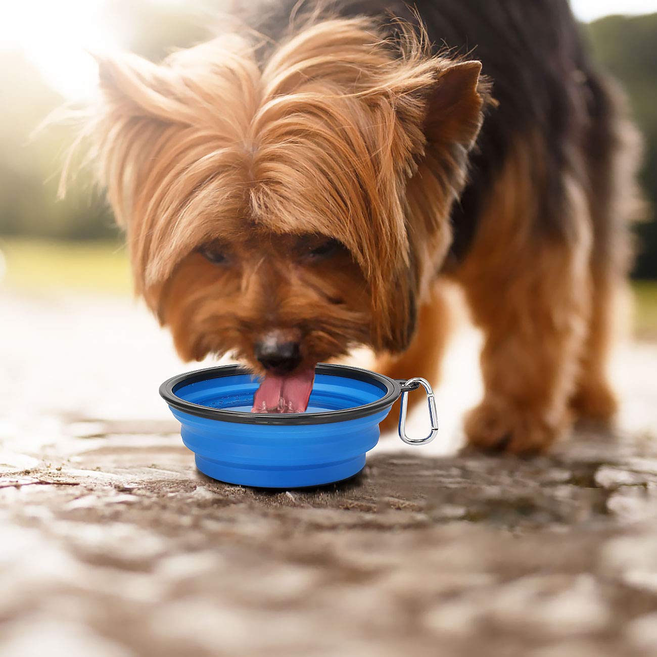 Kytely Large Collapsible Dog Bowls 2 Pack, 34oz Foldable Dog Travel Bowl, Portable Pet Water Food Bowl with Clasp, Pet Cat Feedi