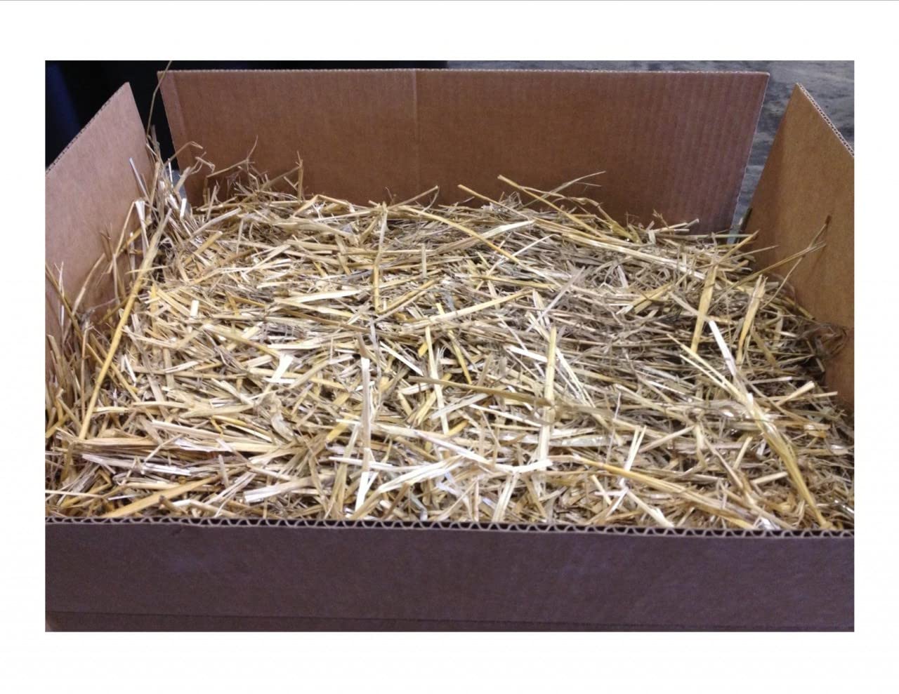 The Kitty Tube Wisconsin Grown Wheat Straw