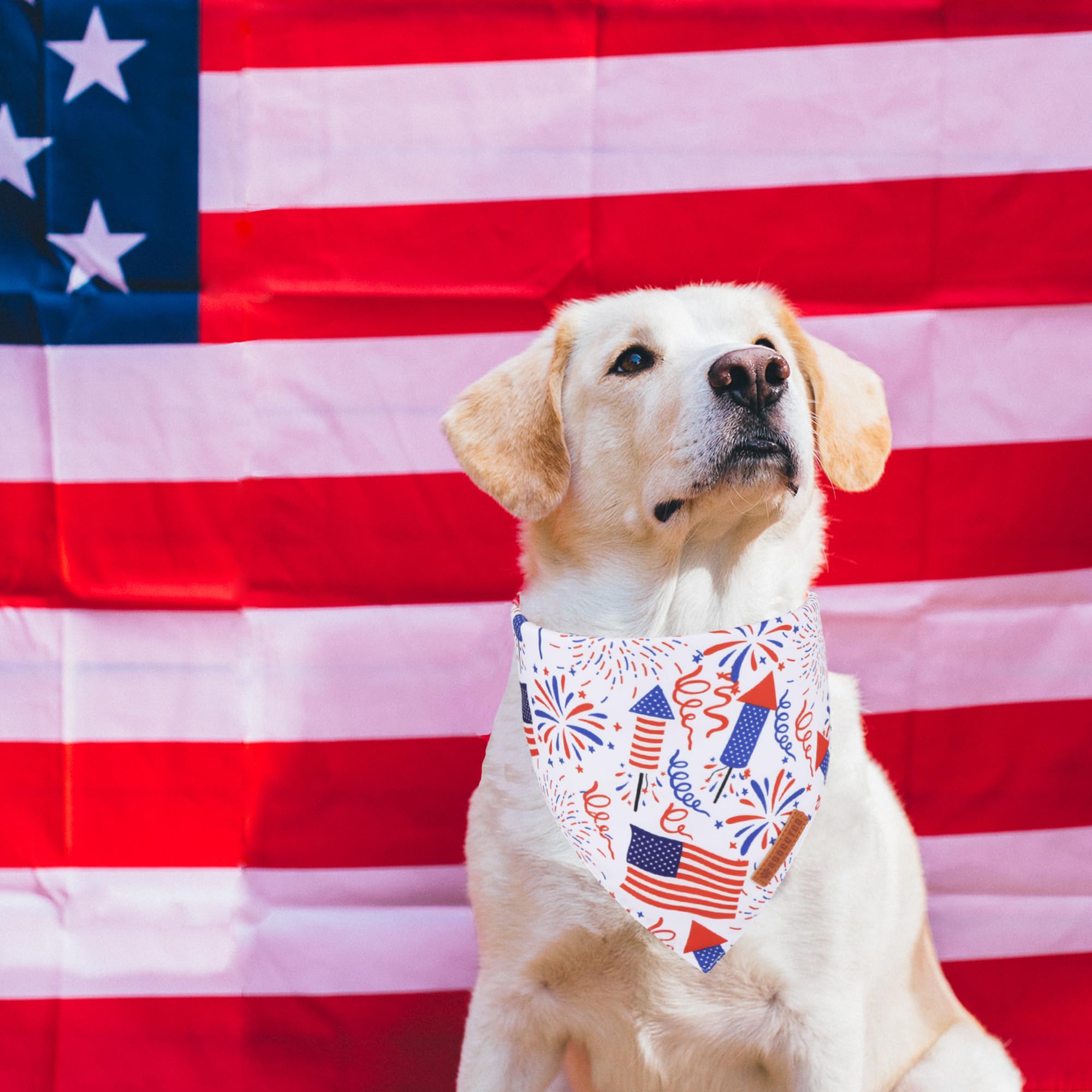 ADOGGYGO American Flag Dog Bandana, White Blue 4th of July Flag Pet Scarf, Premium Durable Fabric, Adjustable Fit 4th of July Ba