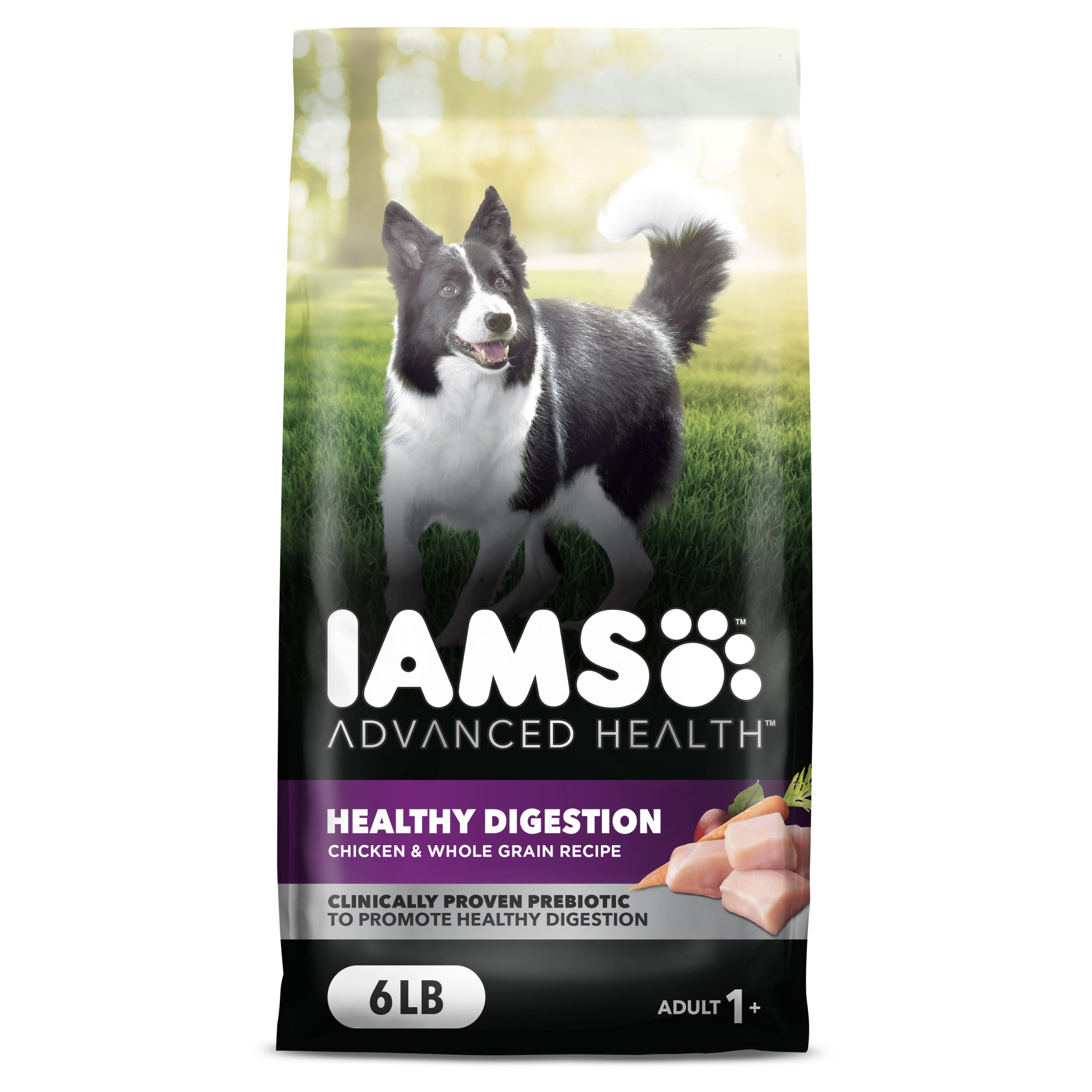 IAMS Advanced Health Healthy Digestion Adult Dry Dog Food with Real Chicken, 6 lb. Bag