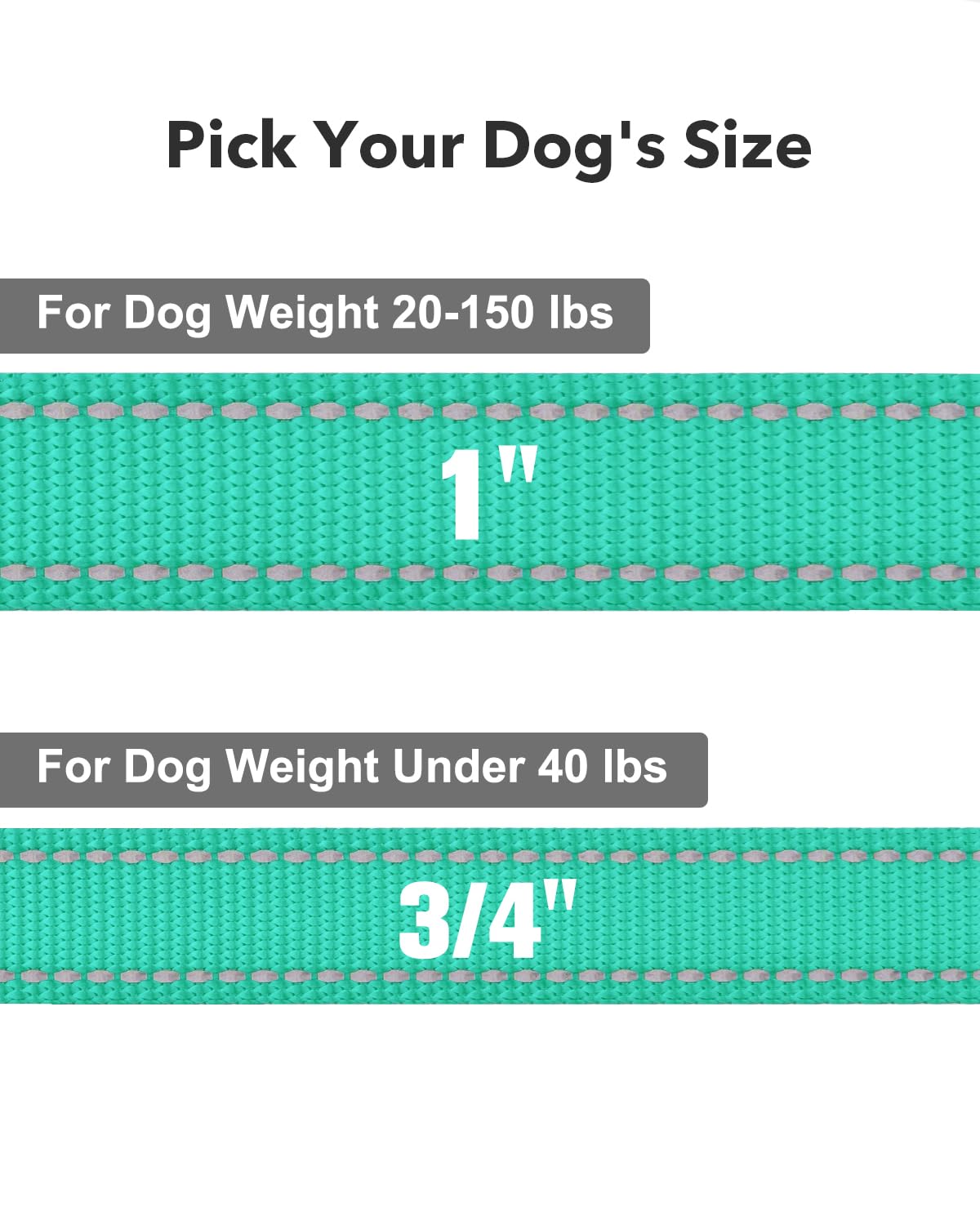 Taglory Dog Leash For Small Dogs, Double-Sided Reflective Leash With Soft Neoprene Padded Handle, 3/4 Inch By 6 Ft, Fit Small Me