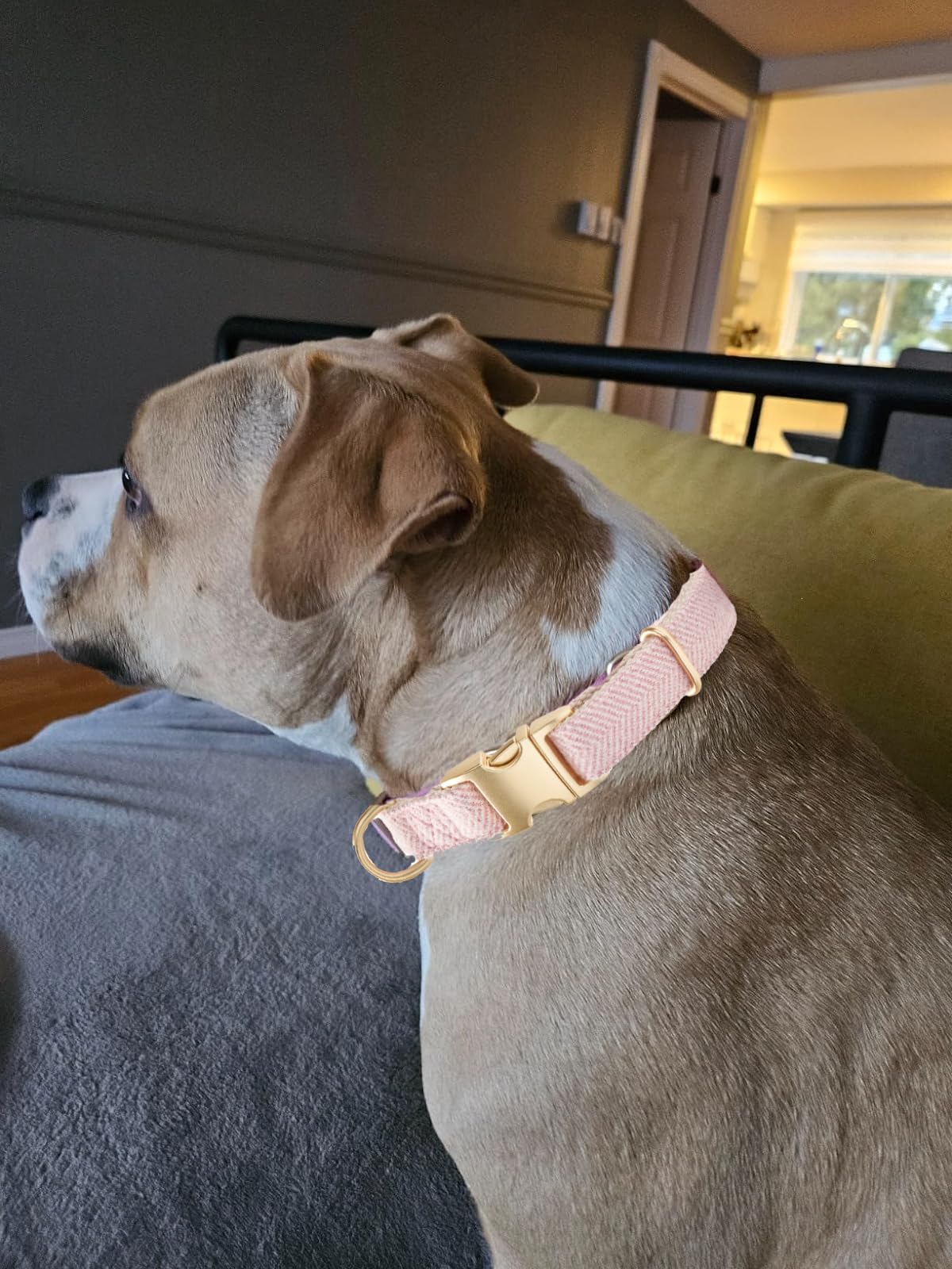 YUDOTE Soft Cotton Hemp Dog Collar with Metal Buckle Adjustable Twilled Dog Collars for Female Small Medium Large Dogs(Pink,Larg