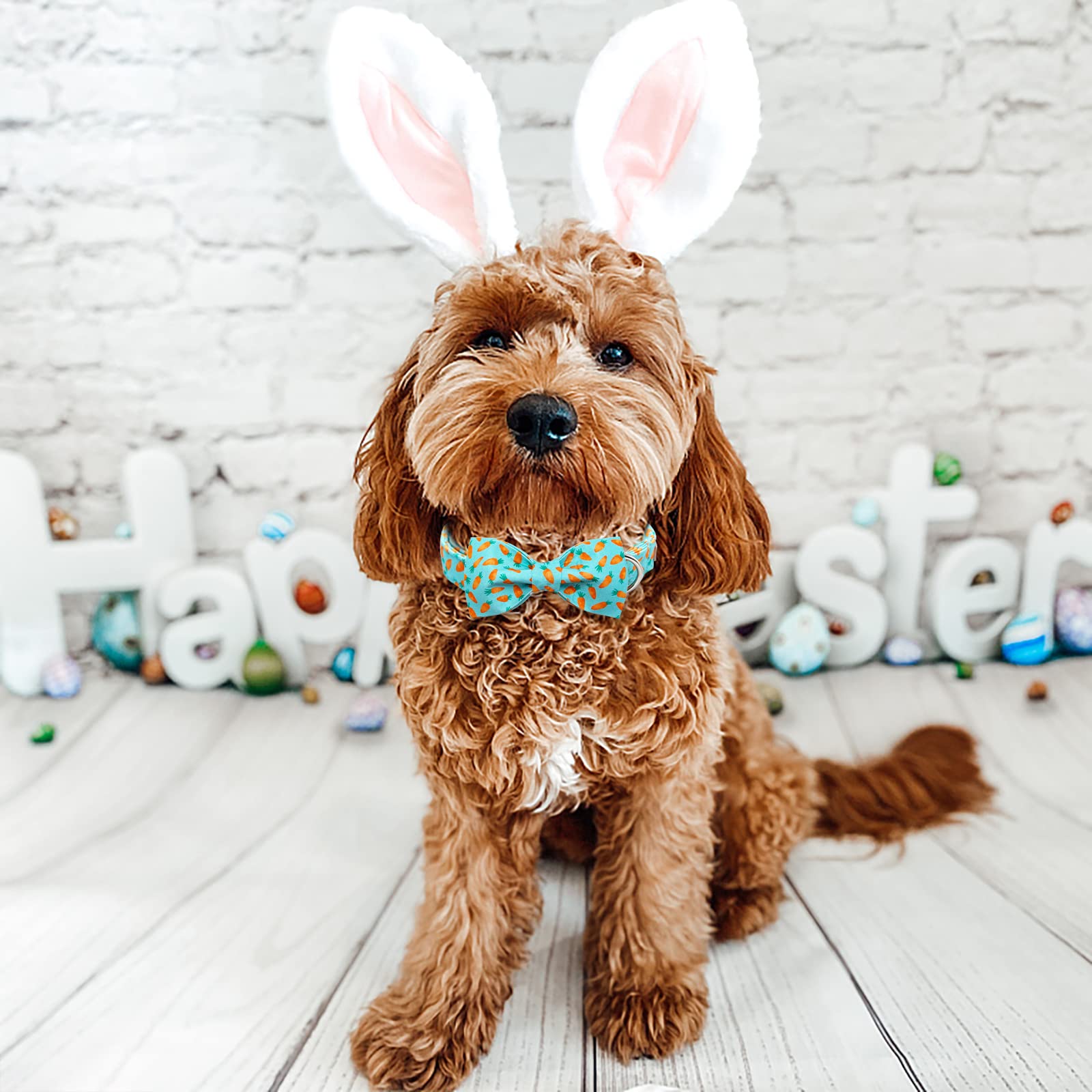 Babole Pet Dog Collar Easter Gift With Bow Tie,Carrot Male Dog Collar With Safety Metal Buckle Adjustable Puppy Collars For Small Medium Large Boy & Girl Dog,S-Neck 10'-16'