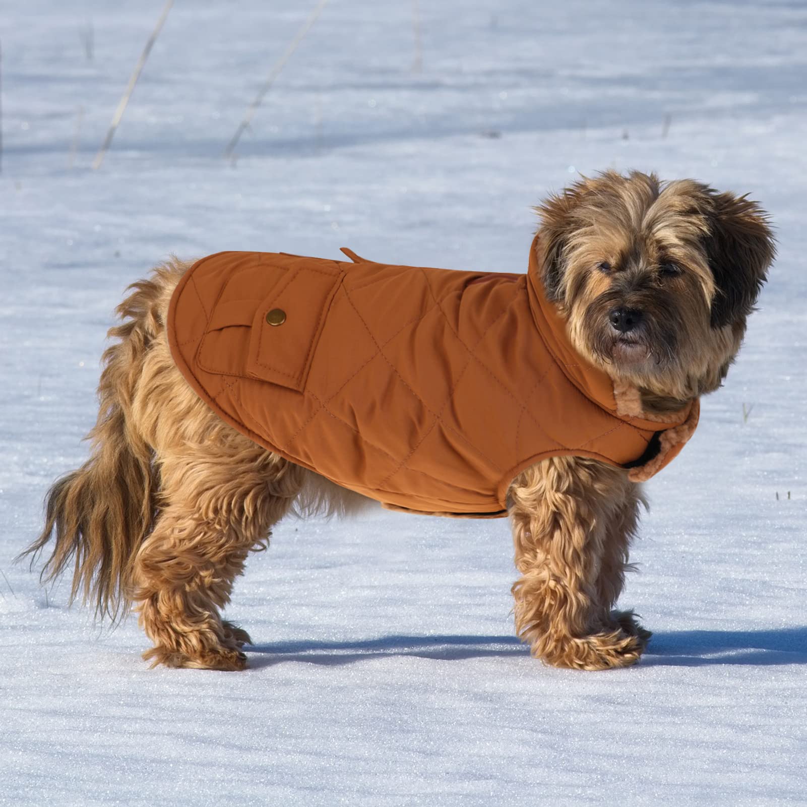 Queenmore Cold Weather Dog Coat | Winter Quilted Jacket | Ultra Warm | Plush Lining | Small | Brown | Model 1067-QM-13488