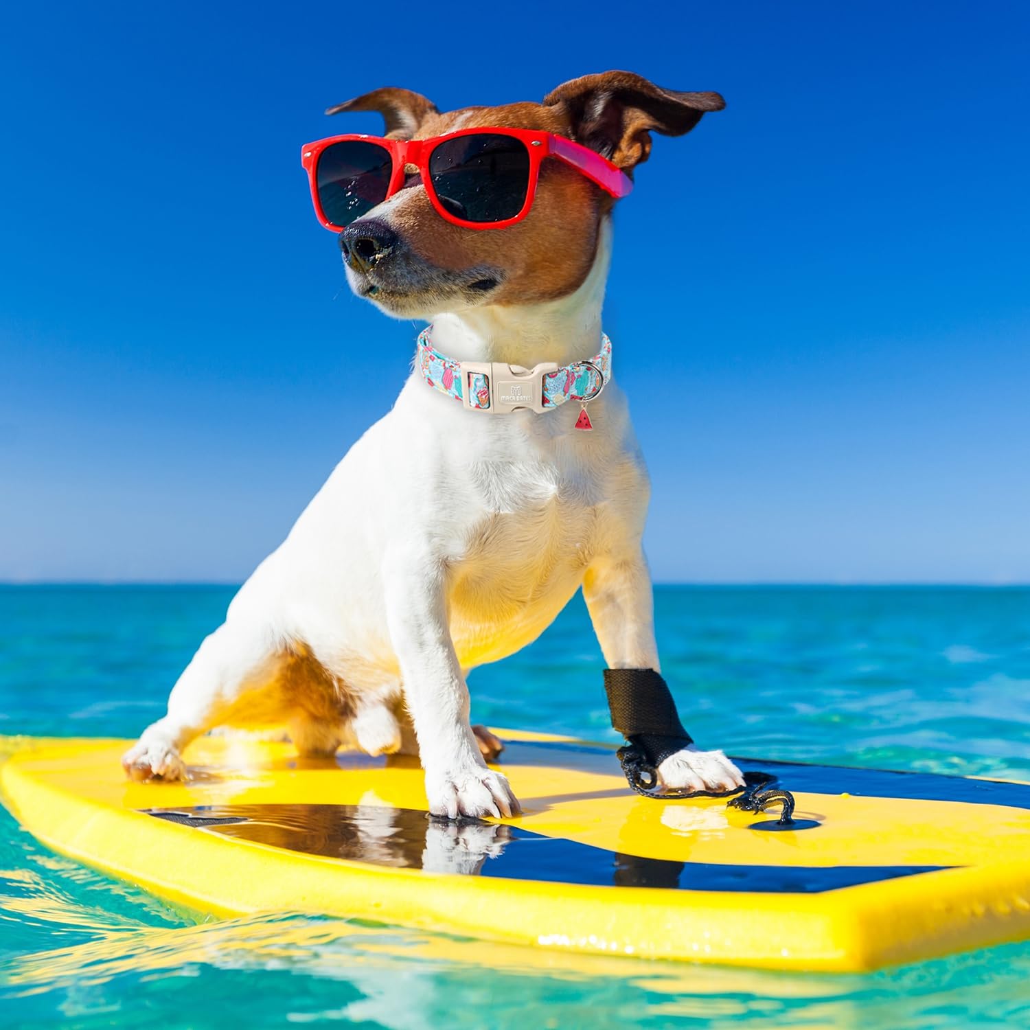 Maca Bates Summer Basic Dog Collar With Safety Buckle Blue Ice Lolly Adjustable Durable Soft Dogs Collars With Icecream Charm Fo