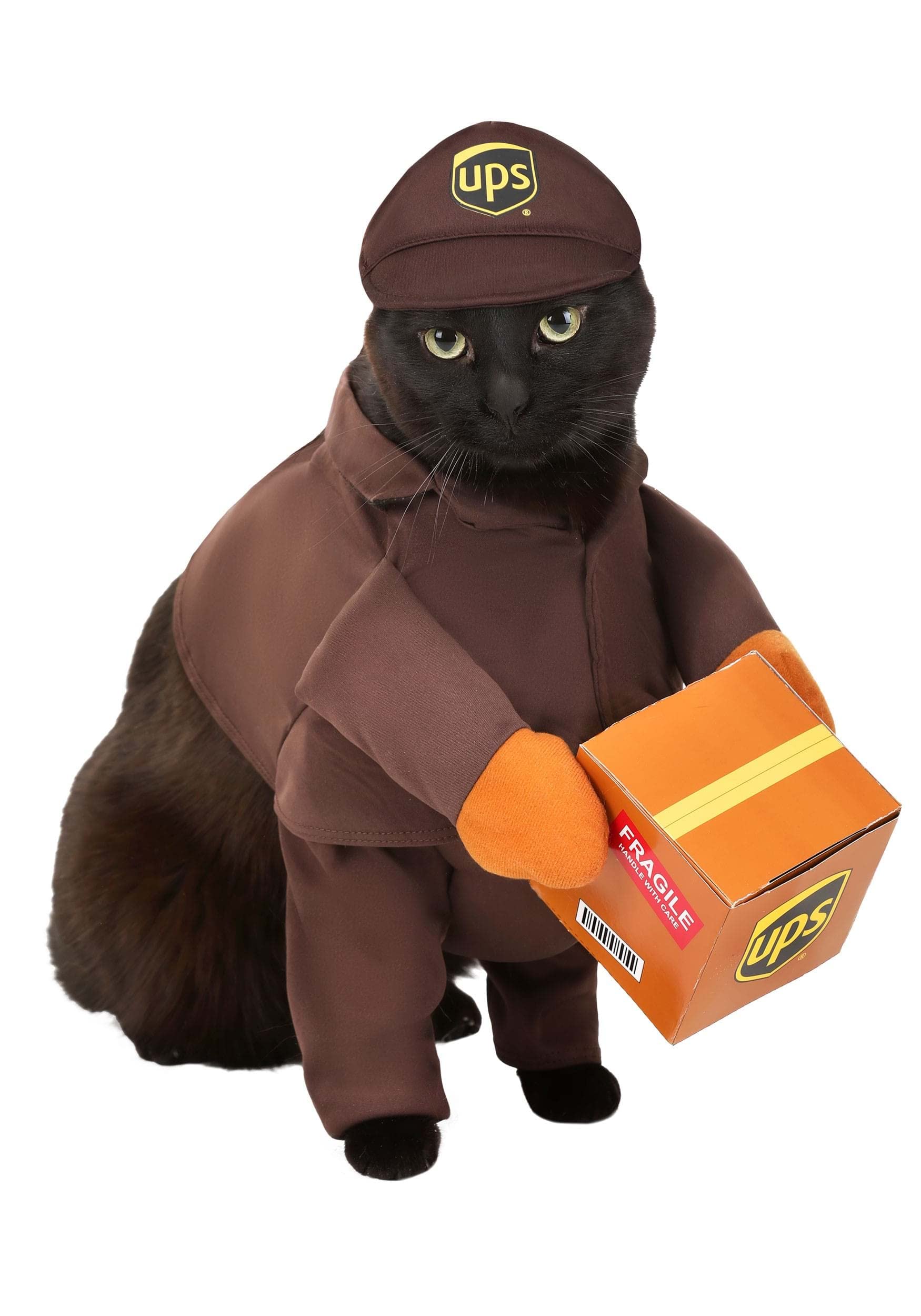 California Costumes Ups Dog Costume - M