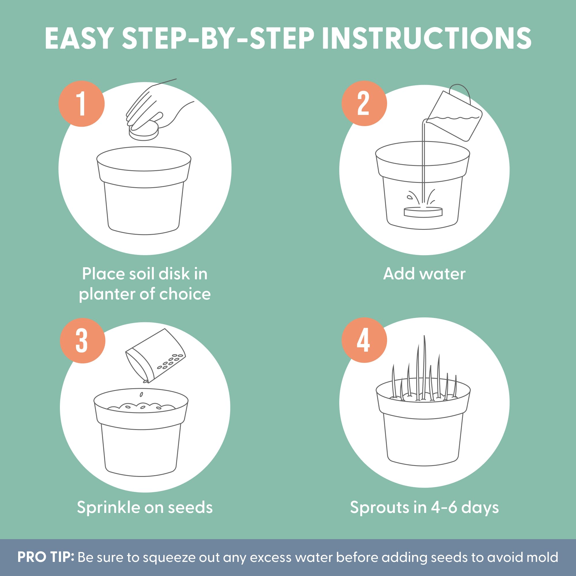 The Cat Ladies Cat Grass Refill Kit 100% Organic 3 Pack