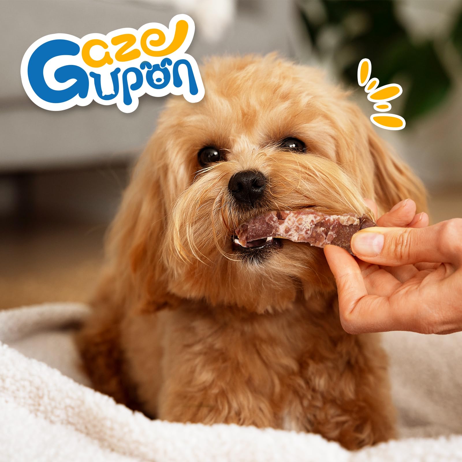 gazeupon Dog Treats, Made with Real Chicken and Beef Meat, Healthy Dog Chew w/Glucosamine Chondroitin, High Protein, Rawhide Fre