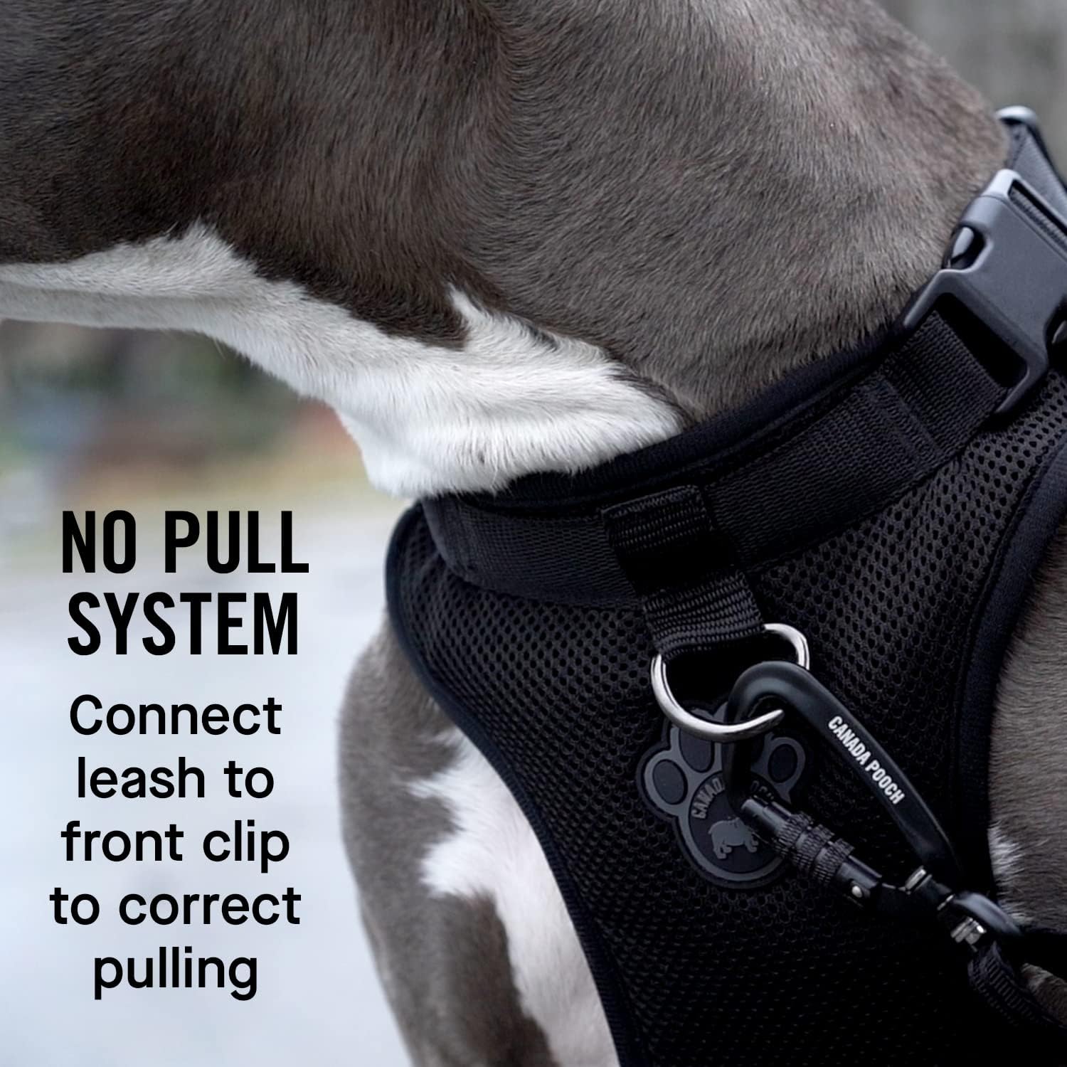 Canada Pooch Everything No Pull Dog Harness - Easy Walk Harness For Dogs With Breathable Mesh Exterior, Adjustable Dog Walking H
