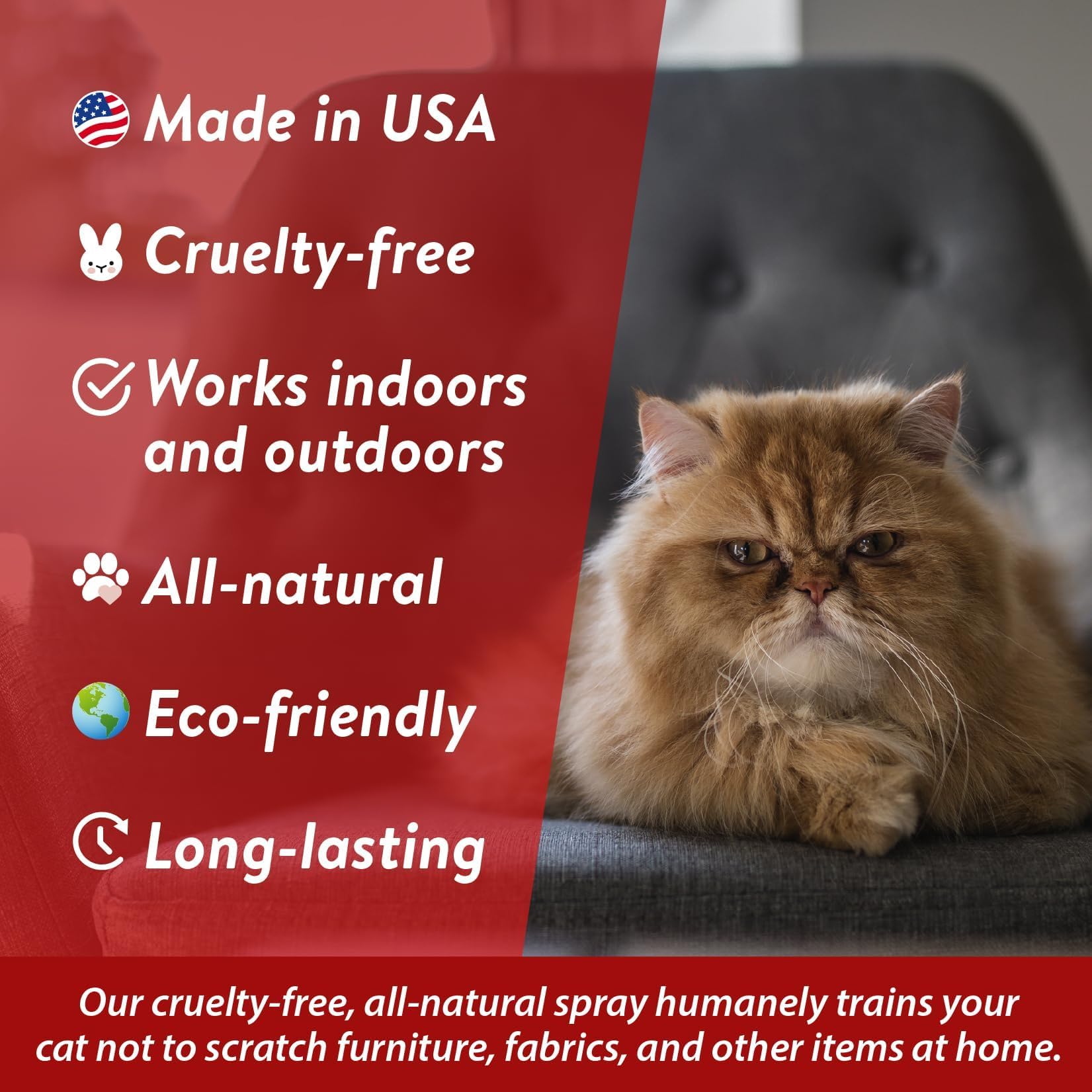 Bodhi Dog No More Scratching! Cat Deterrent Spray, Indoor & Outdoor Repellent W/Essential Oils - Safe & Effective Formula - Prevents Scratches On Furniture, Protects Surfaces - Made In Usa (8 Fl Oz)