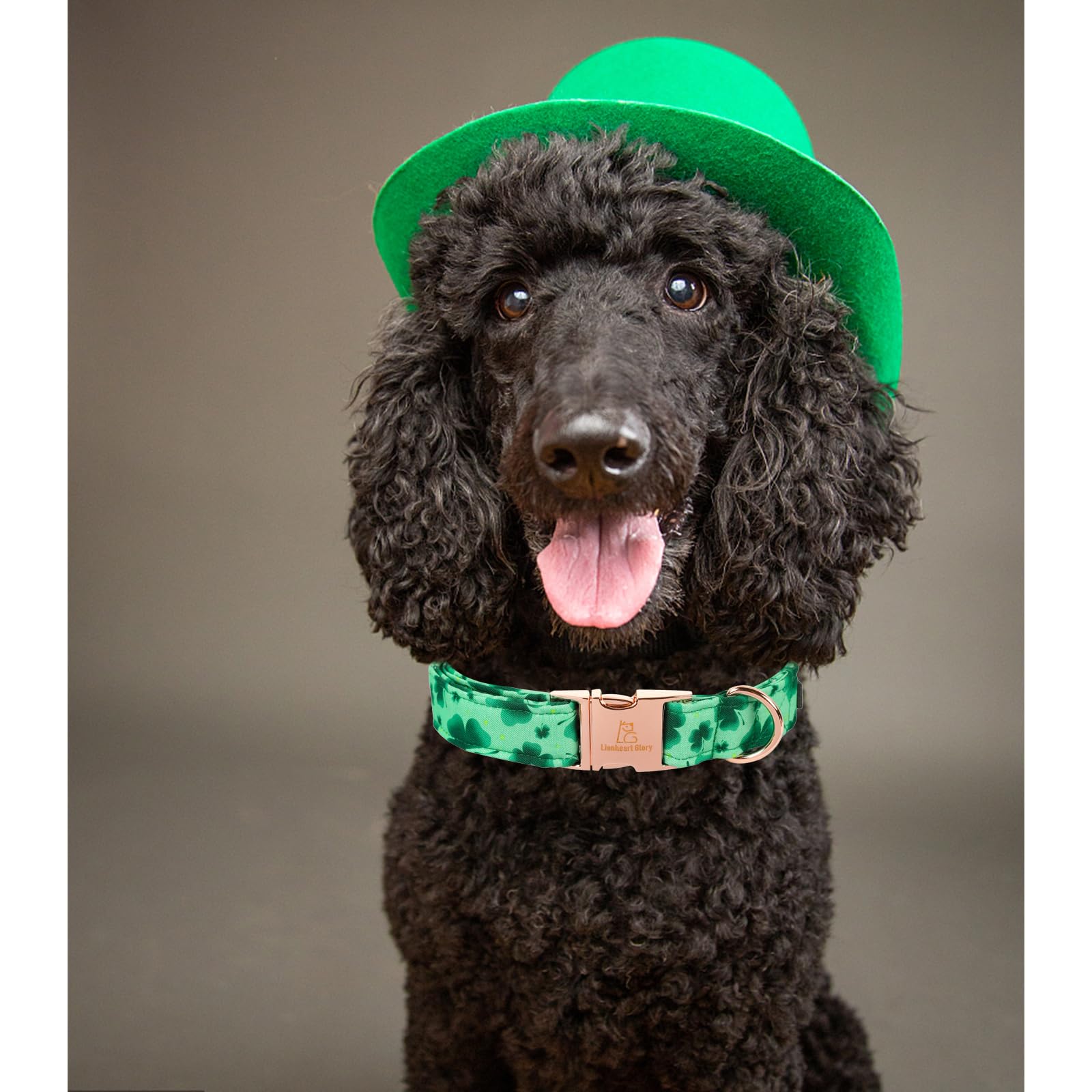 Lionheart Glory St. Patrick Dog Collar, Clover Collars Green Dog Collar For Large Dogs Spring Dog Collar Adjustable Heavy-Duty D
