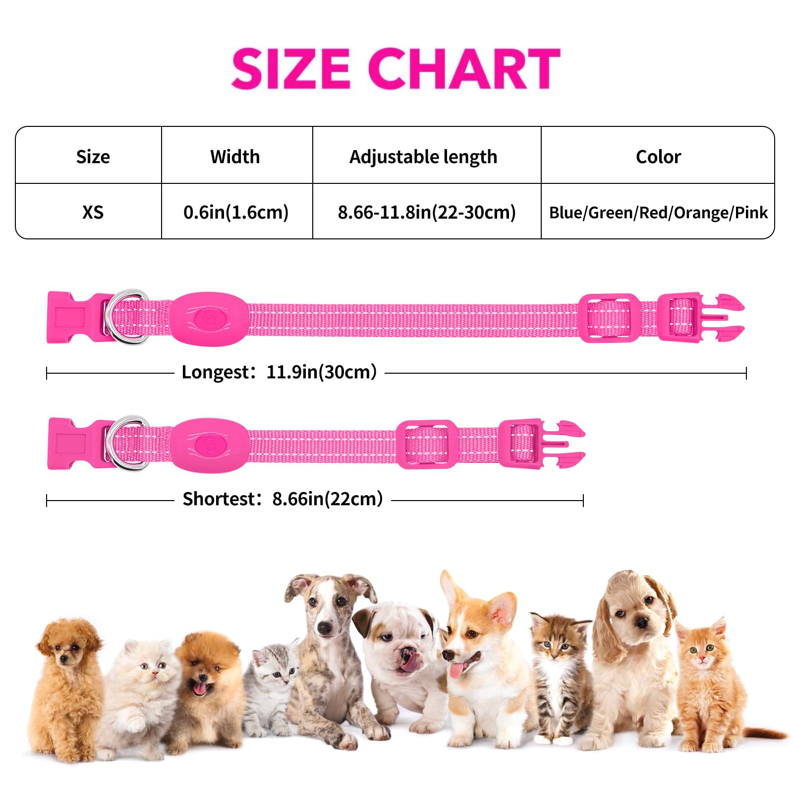 Illumifun LED Dog Collar USB Rechargeable Light Up Dog Collar, Adjustable Safety Collar Light for Small Dogs Cats Glow in The Da