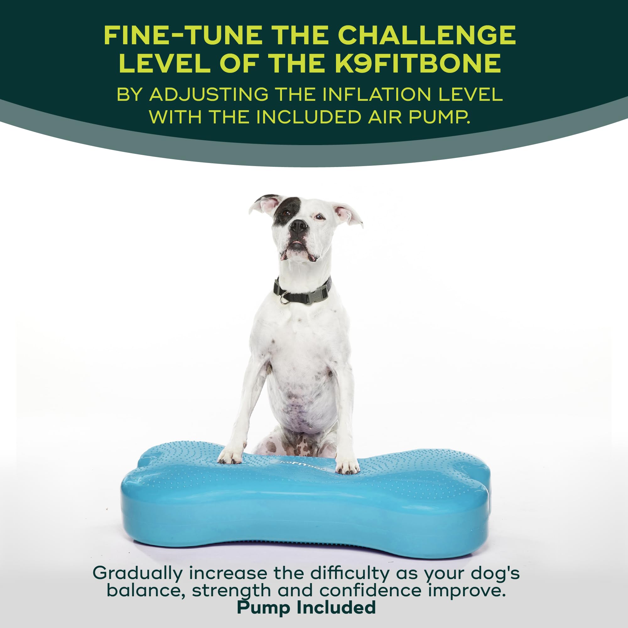 Fitpaws® K9Fitbone® - Giant, Turquoise | Dog Balance Training Platform & Exercise Equipment | Workout Tool For Strength, Core & Stability